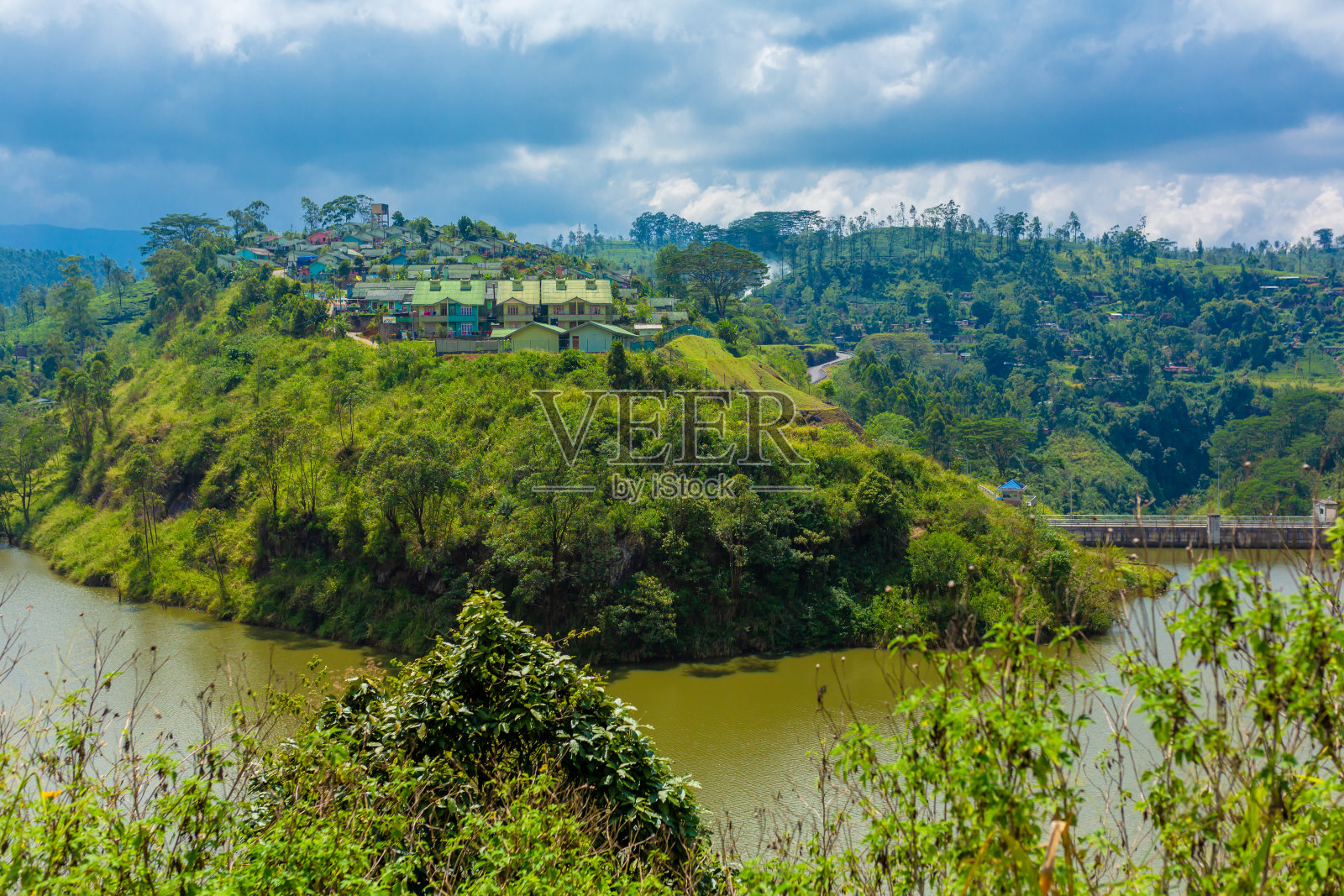 热带岛屿上的城市景观。城市绿化中照片摄影图片