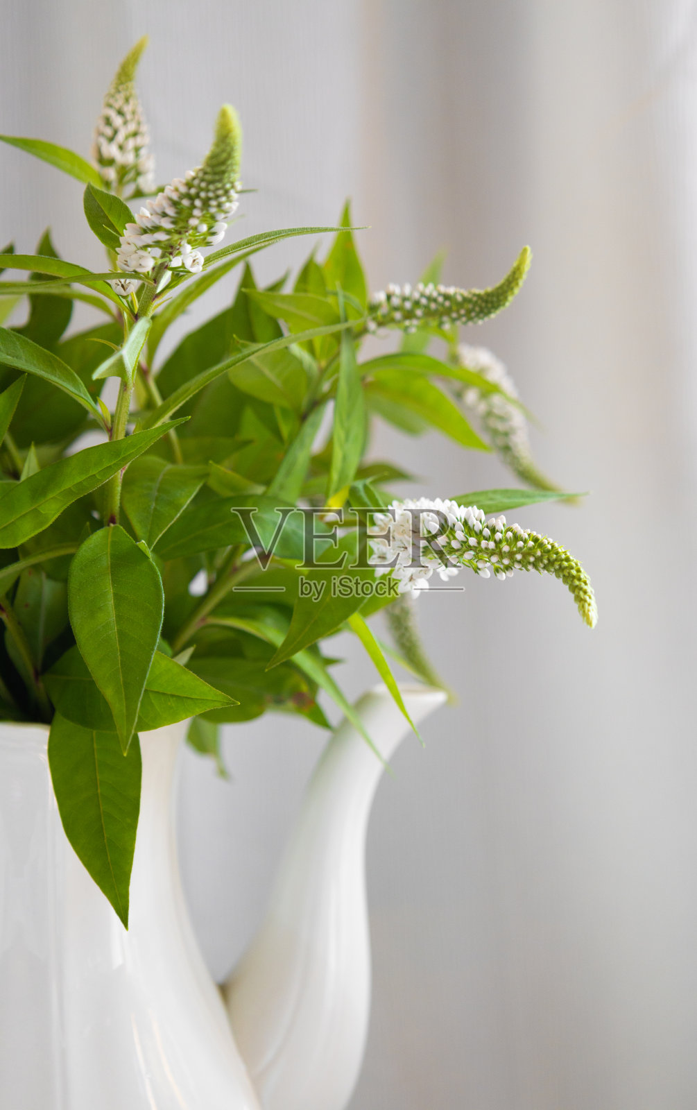 鹅颈松松乡野白瓷茶壶照片摄影图片