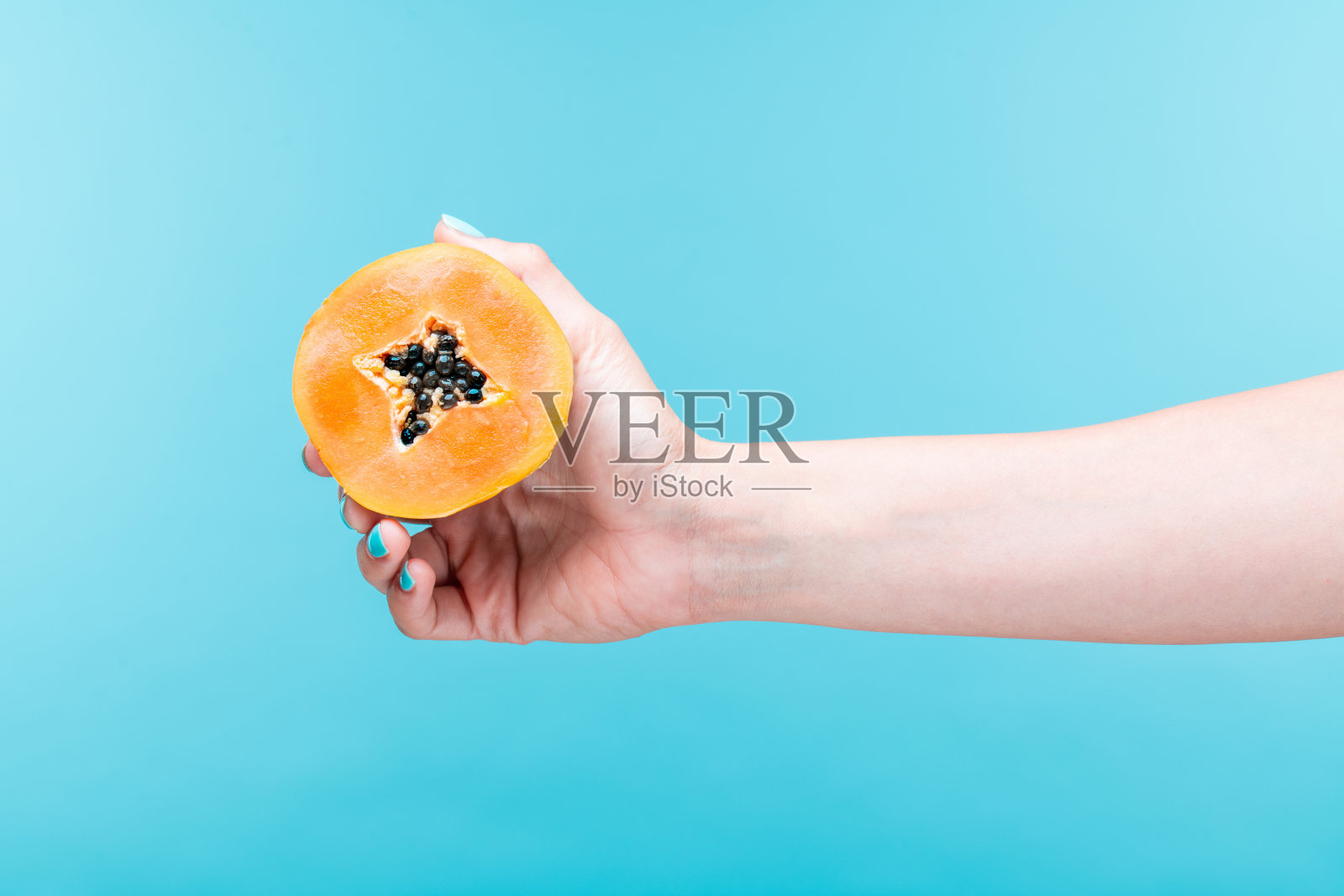 手握新鲜木瓜切一半在明亮的蓝色背景。照片摄影图片