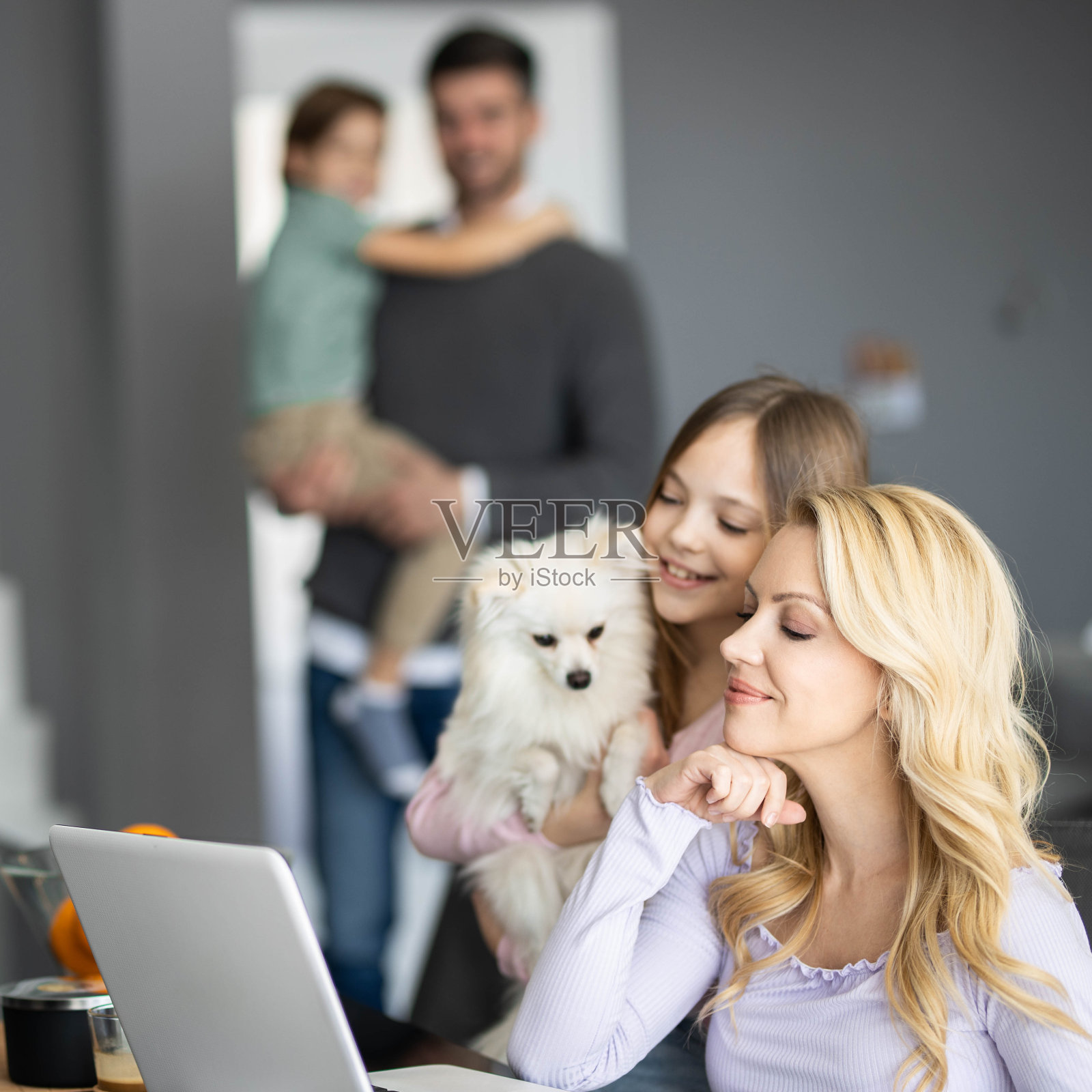 家庭和狗照片摄影图片