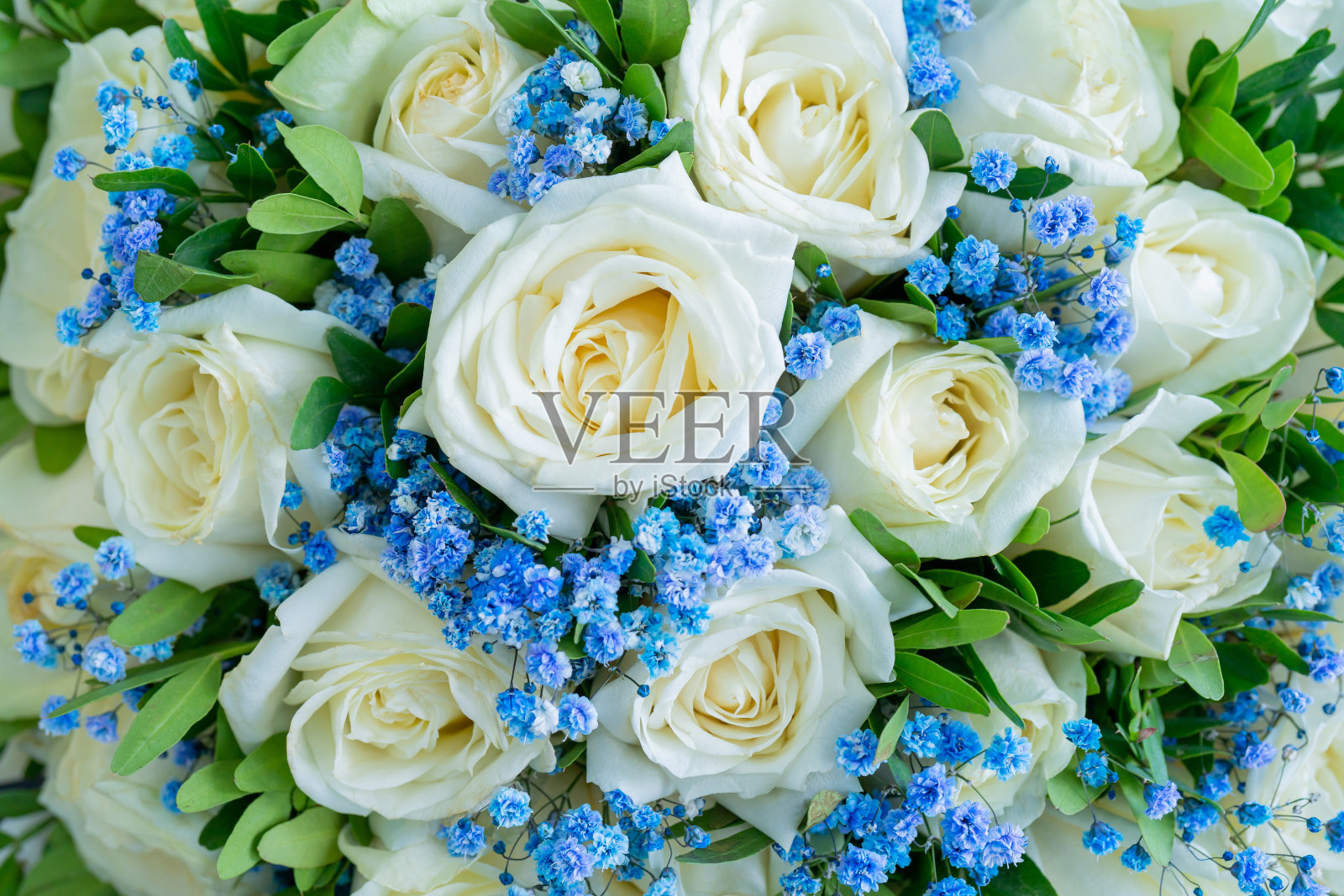 鲜花美丽的花束。照片摄影图片