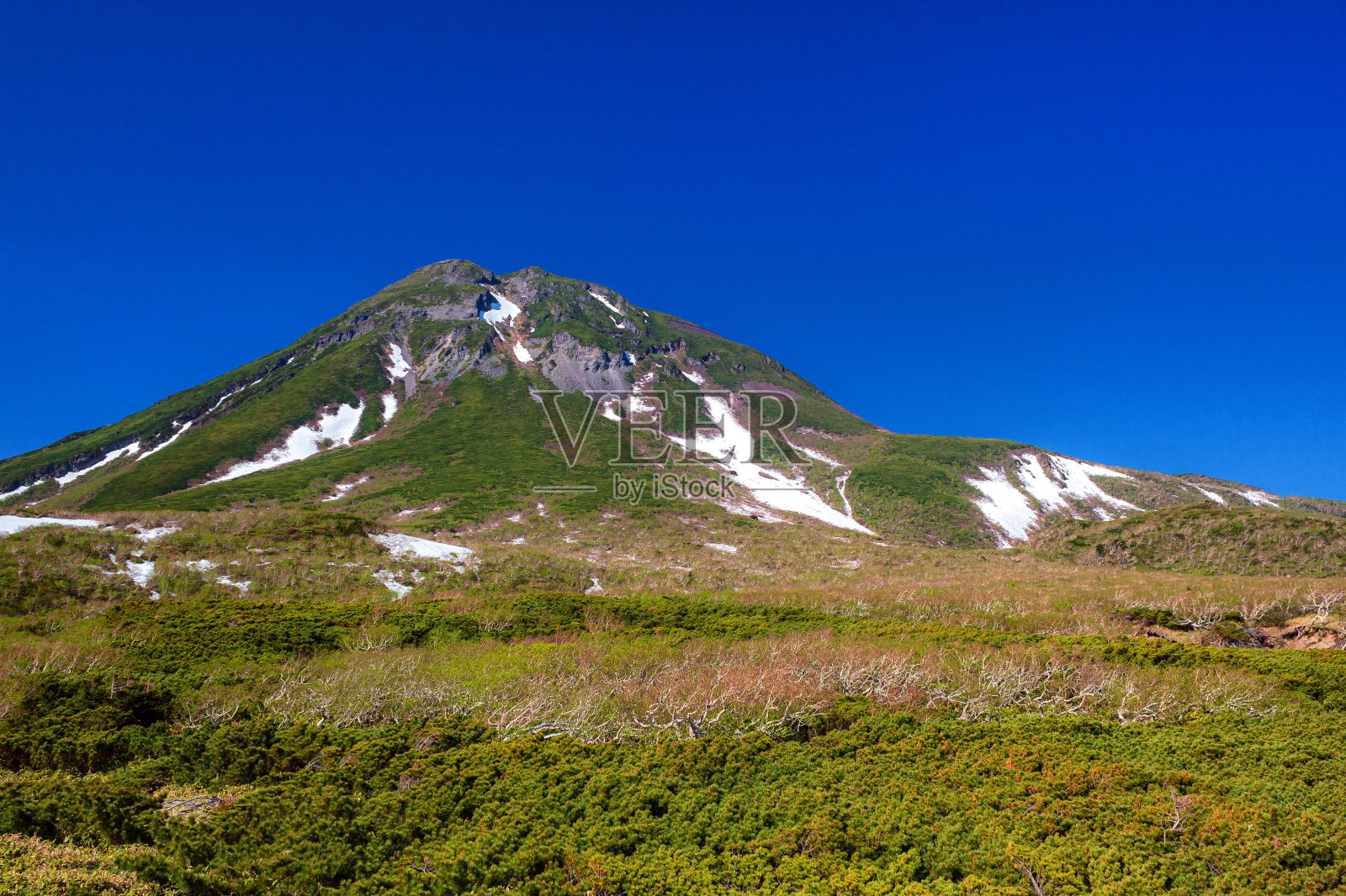 日本北海道知床山口的夏日美景照片摄影图片