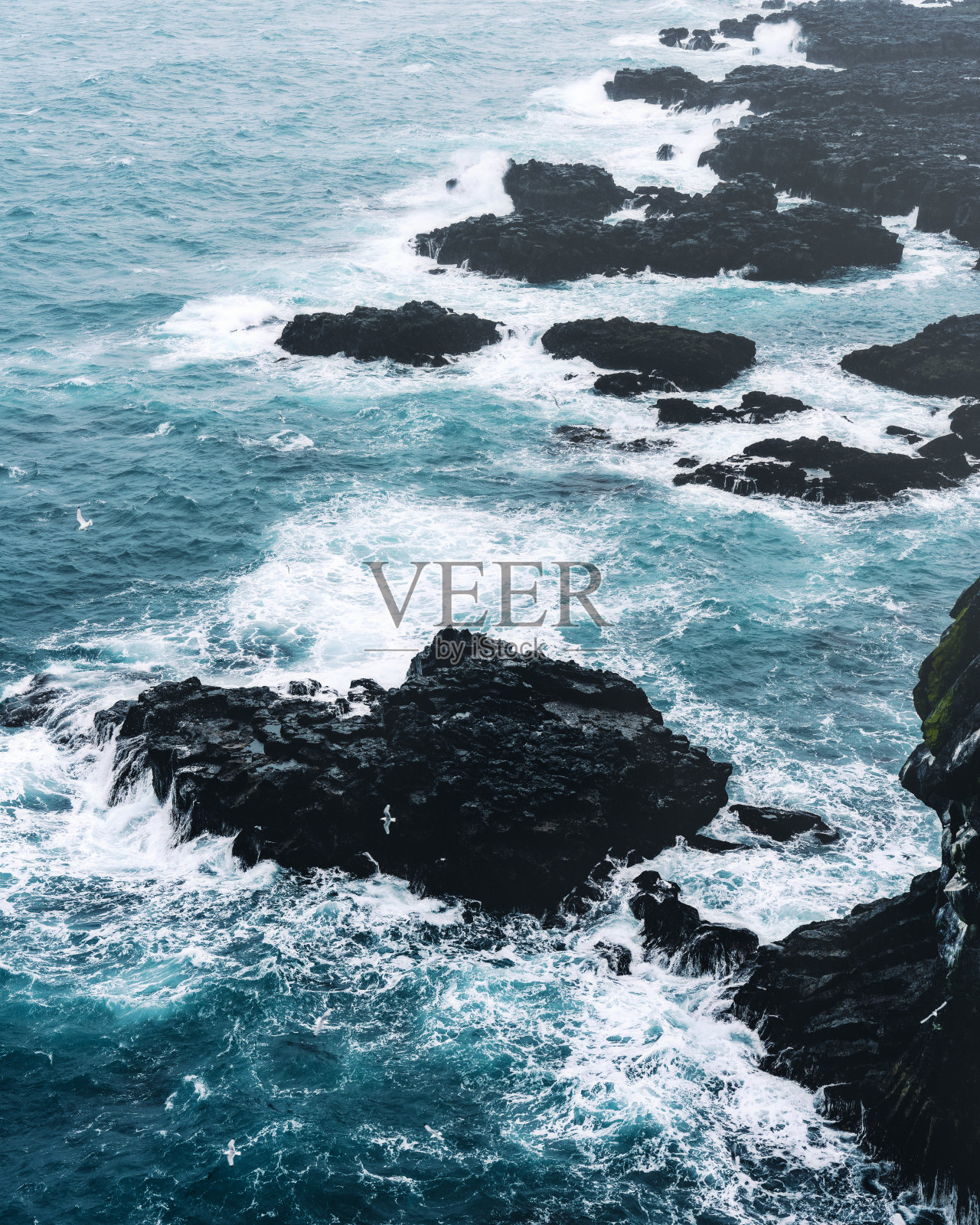 粗糙的海岸照片摄影图片