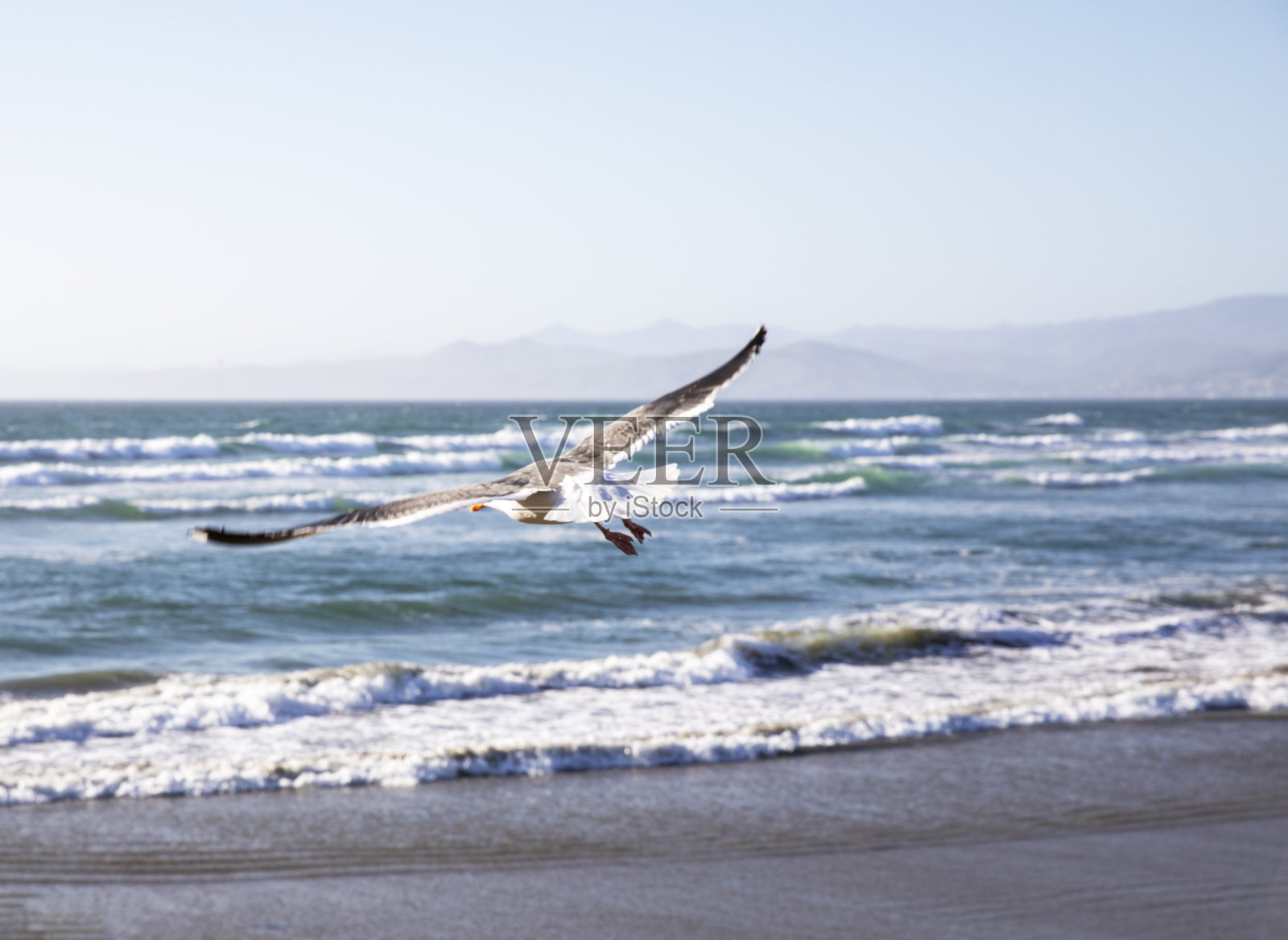 小丘加州湾照片摄影图片