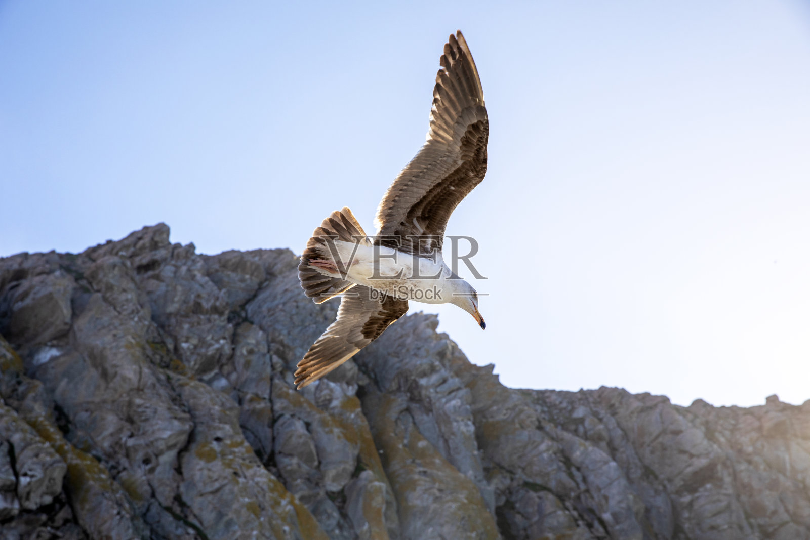 小丘加州湾照片摄影图片
