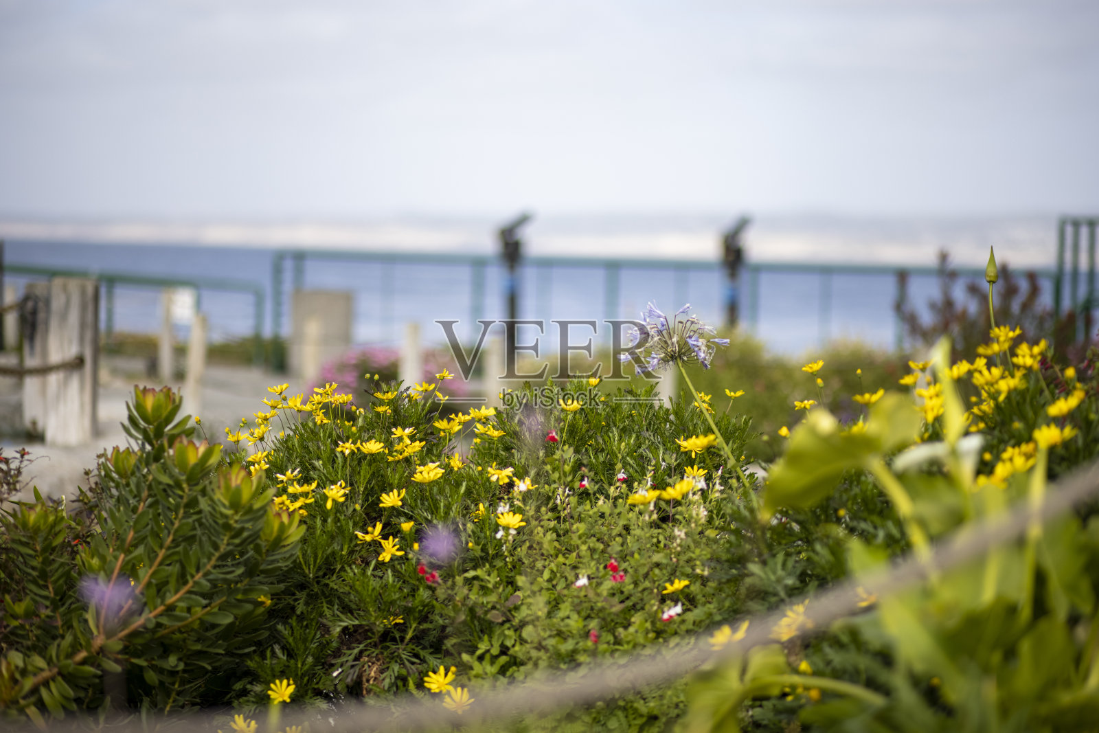 加州蒙特雷的罐头厂区照片摄影图片