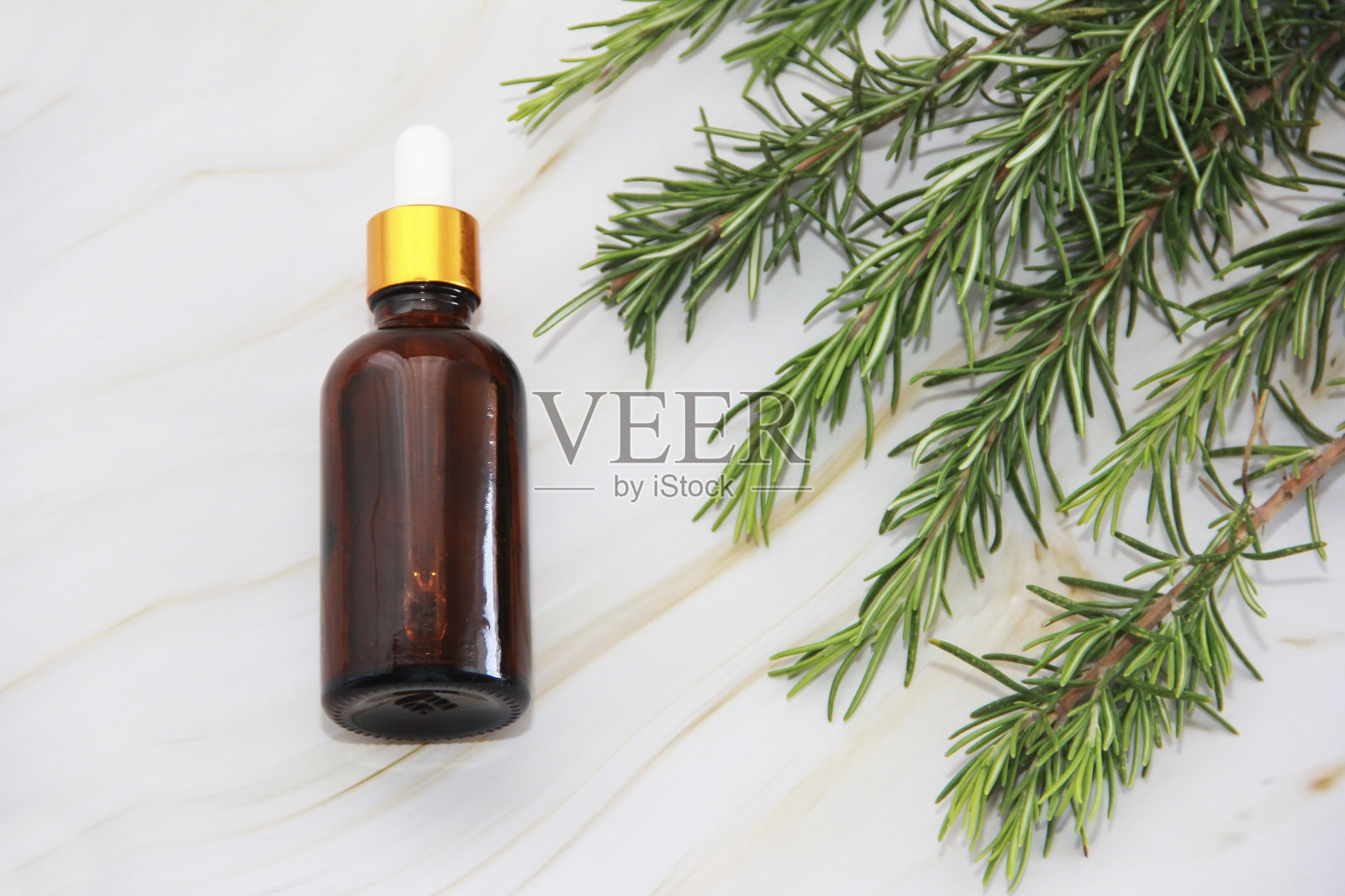 绿色迷迭香枝和芳香精油装在瓶子里照片摄影图片