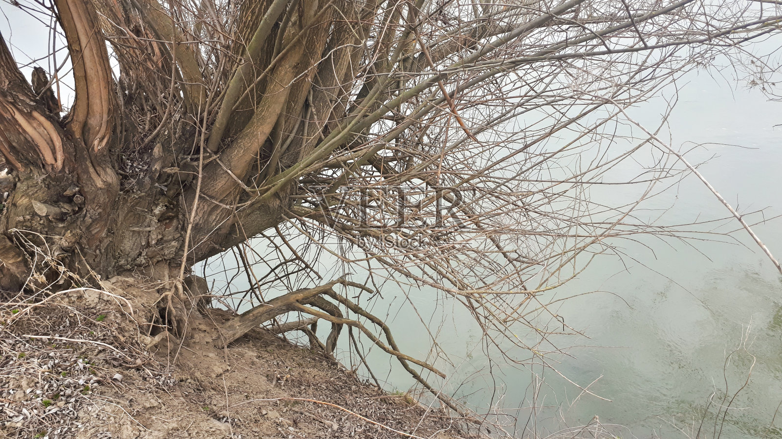 乡村河的场景。波兰春天的户外河流景观照片摄影图片