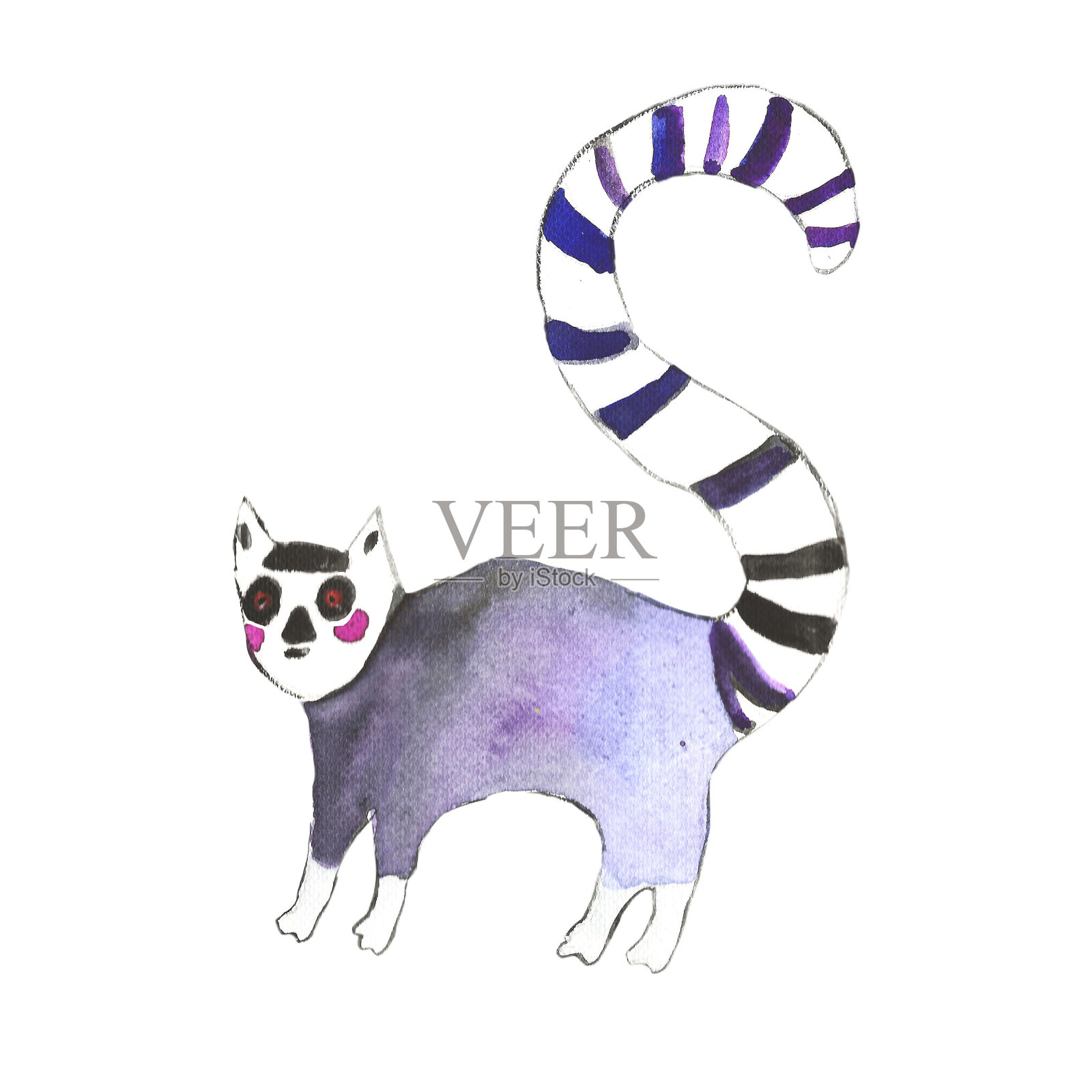 白底狐猴，马达加斯加，迎婴派对插画图片素材