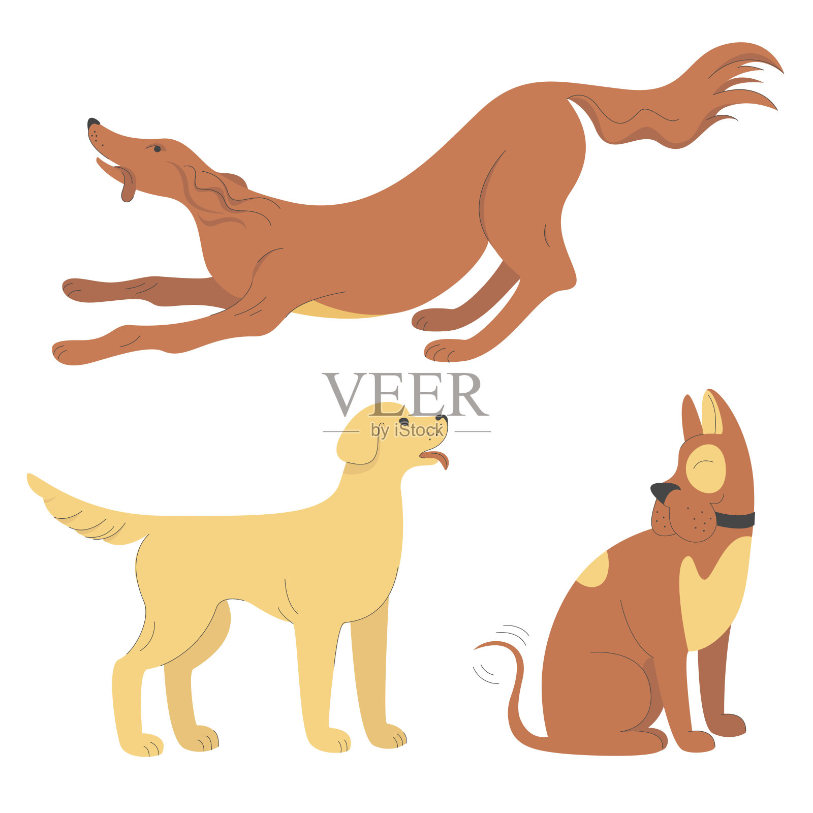 不同品种的狗的一套孤立的载体插图设计元素图片