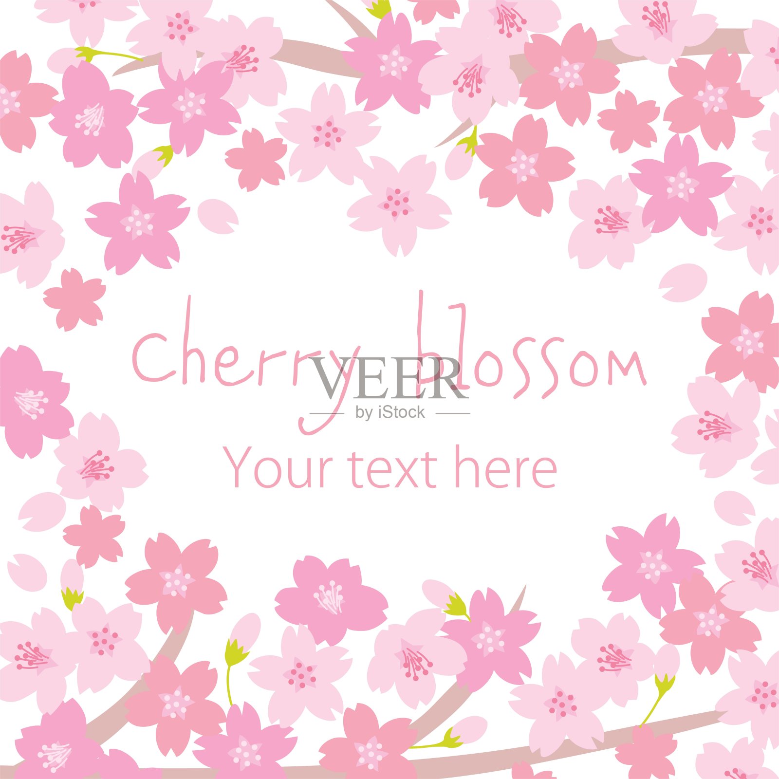 樱花盛开的方形横幅插图。插画图片素材