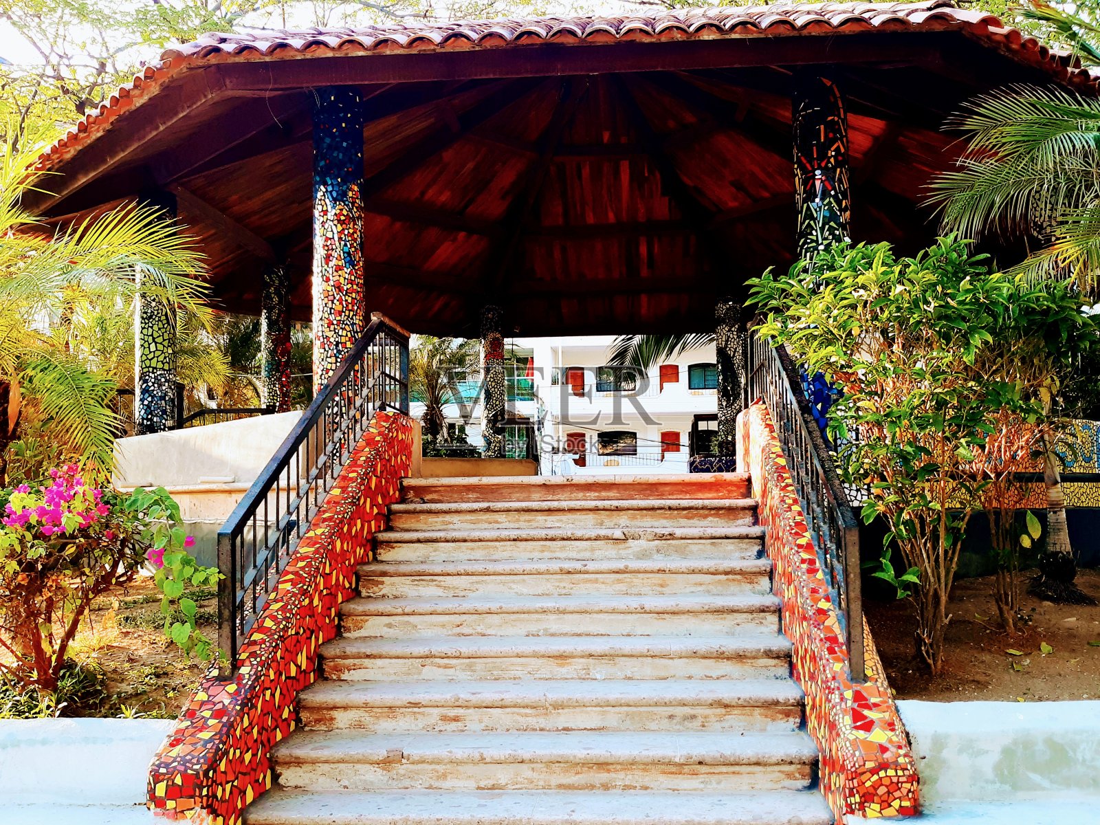 复古建筑、建筑和热带植物照片摄影图片