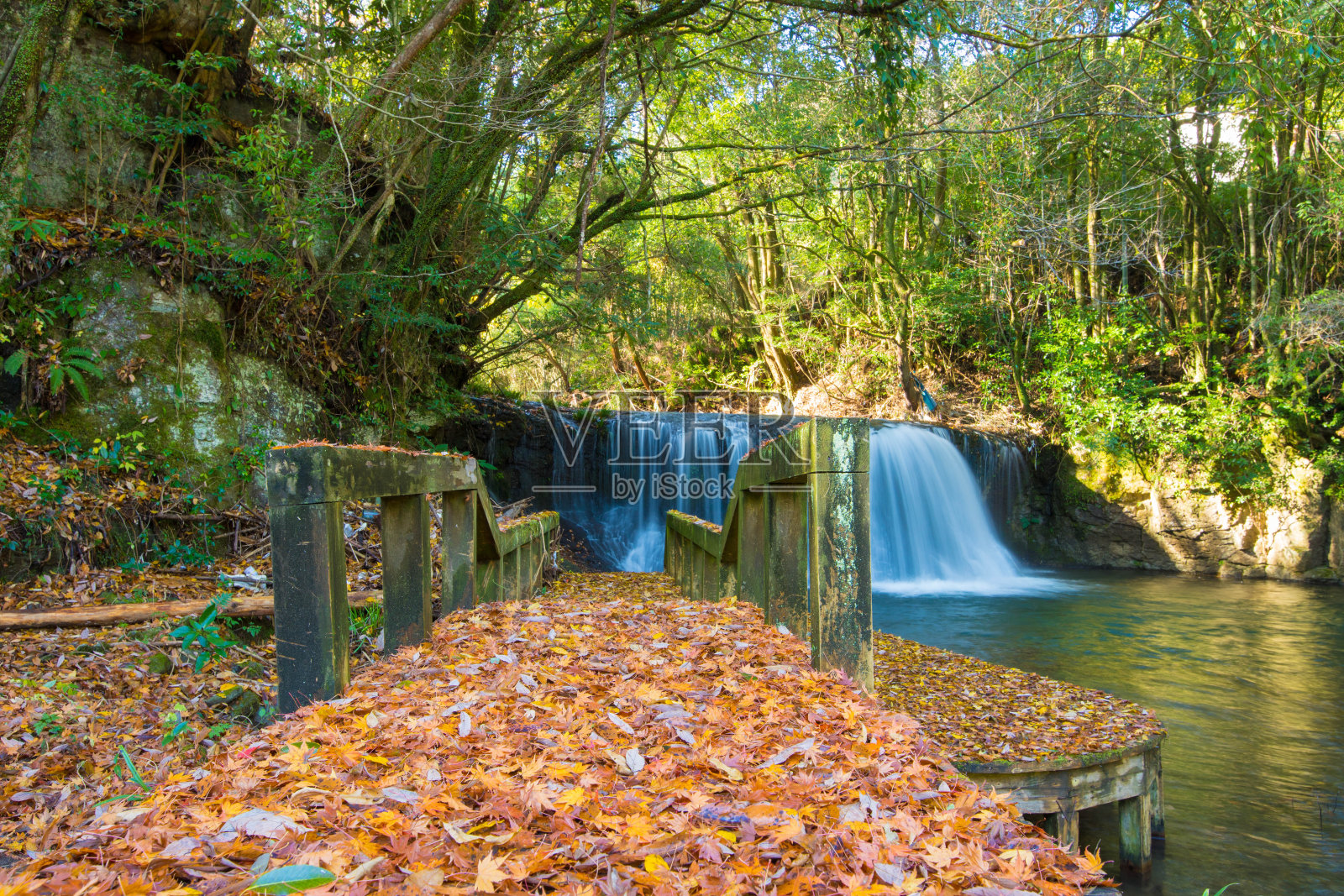 秋叶的瀑布照片摄影图片