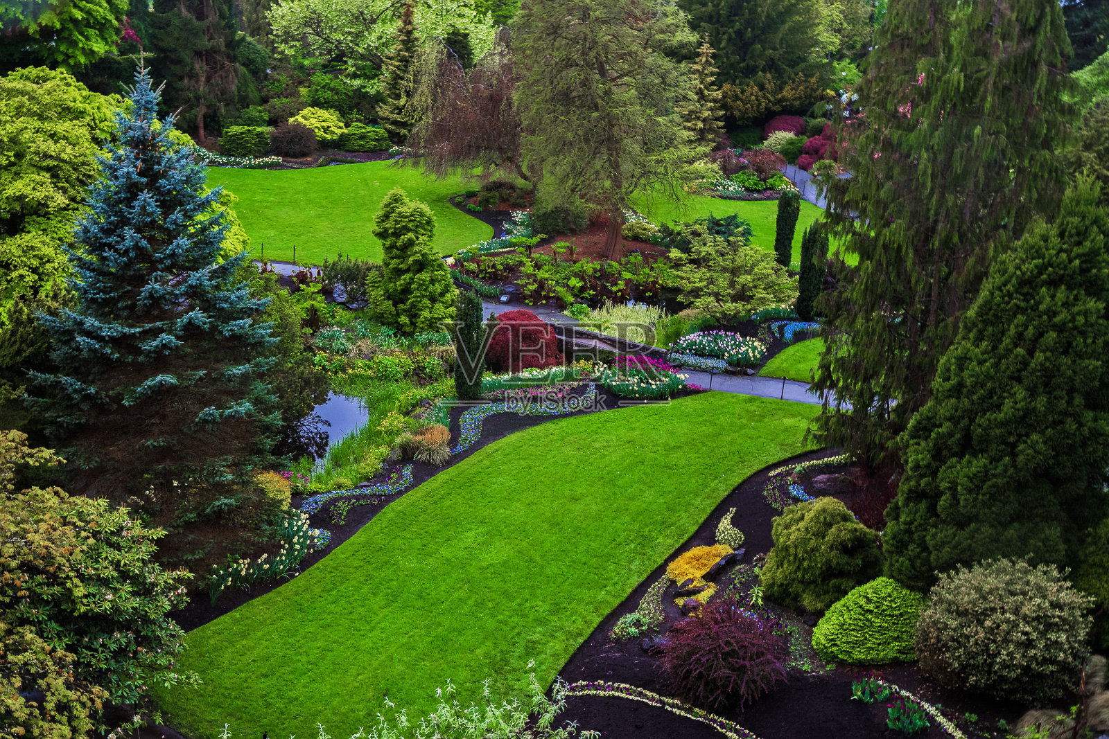 伊丽莎白女王公园的碎片照片摄影图片