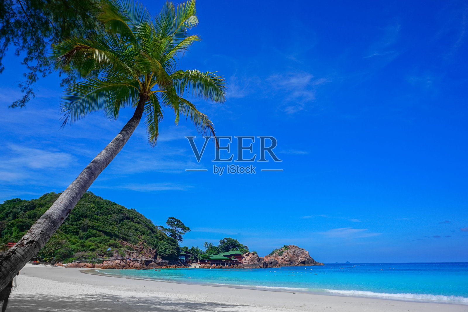 马来西亚热浪岛的椰树和蓝色海滩照片摄影图片