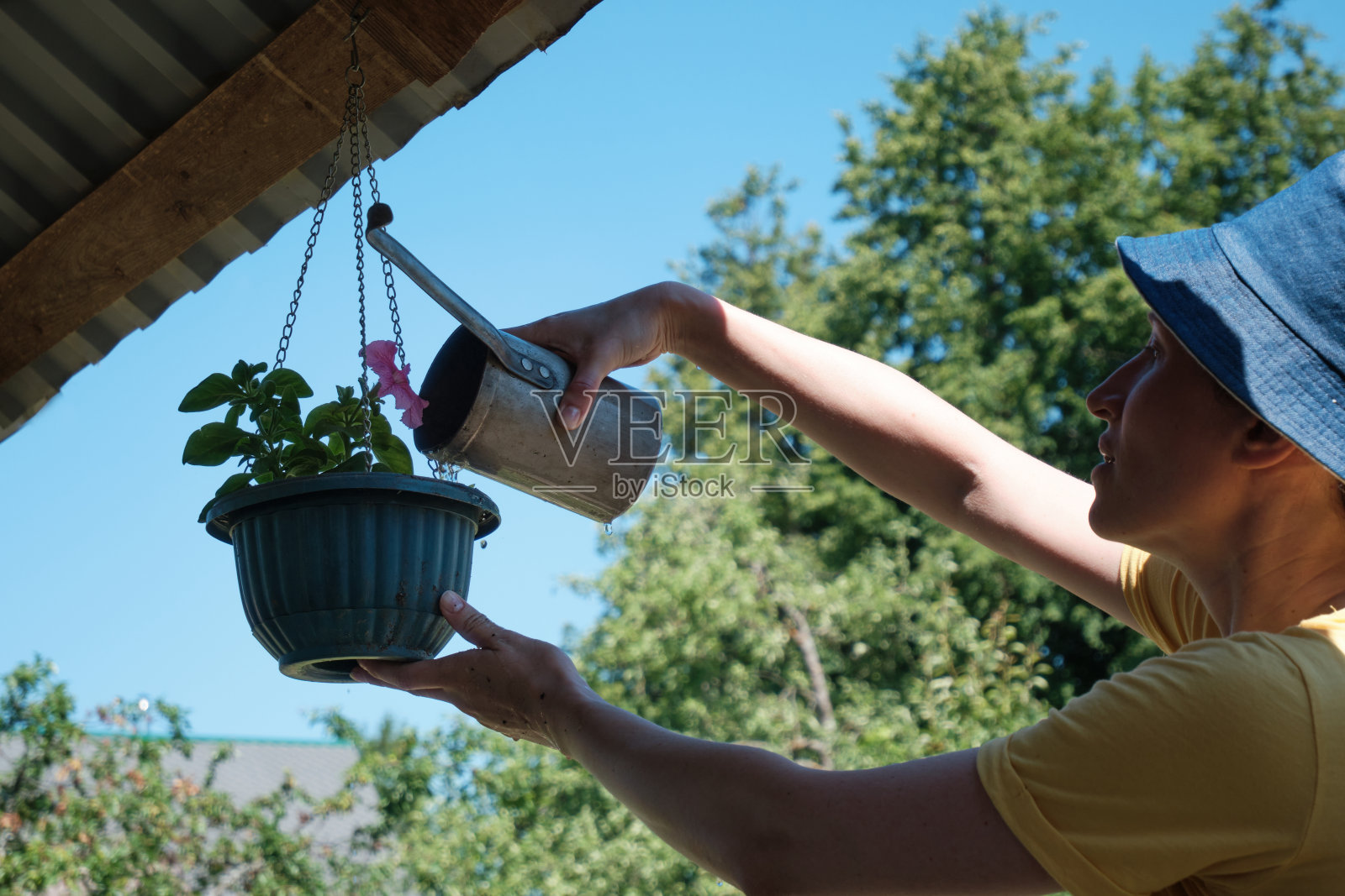 女人在花园里用喷壶浇花照片摄影图片