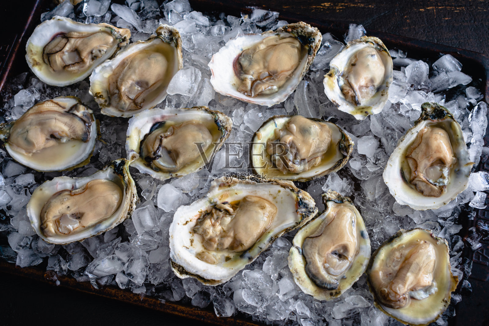 在碎冰床上的半壳上的生牡蛎照片摄影图片