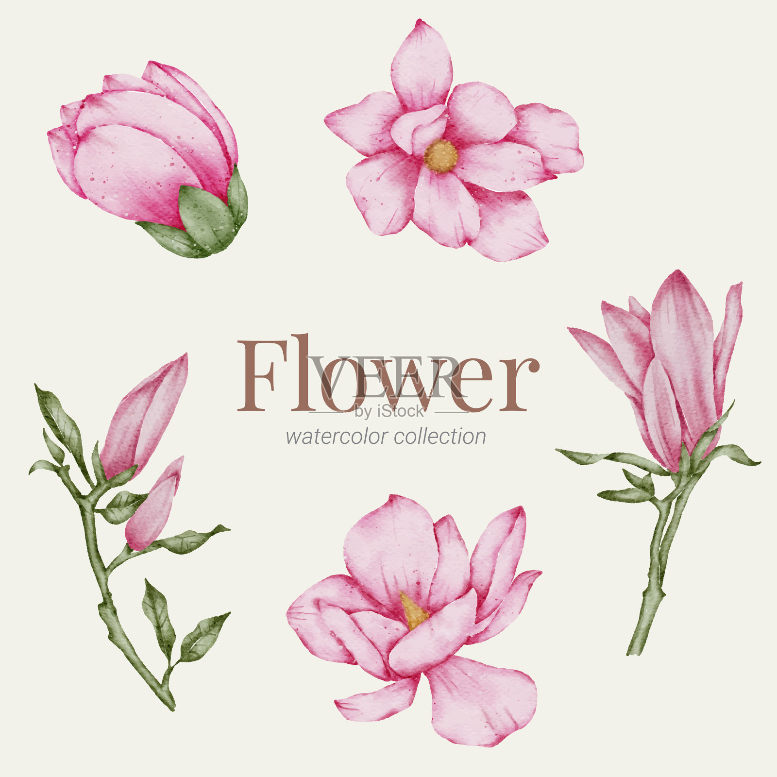 花卉元素水彩收集插画图片素材