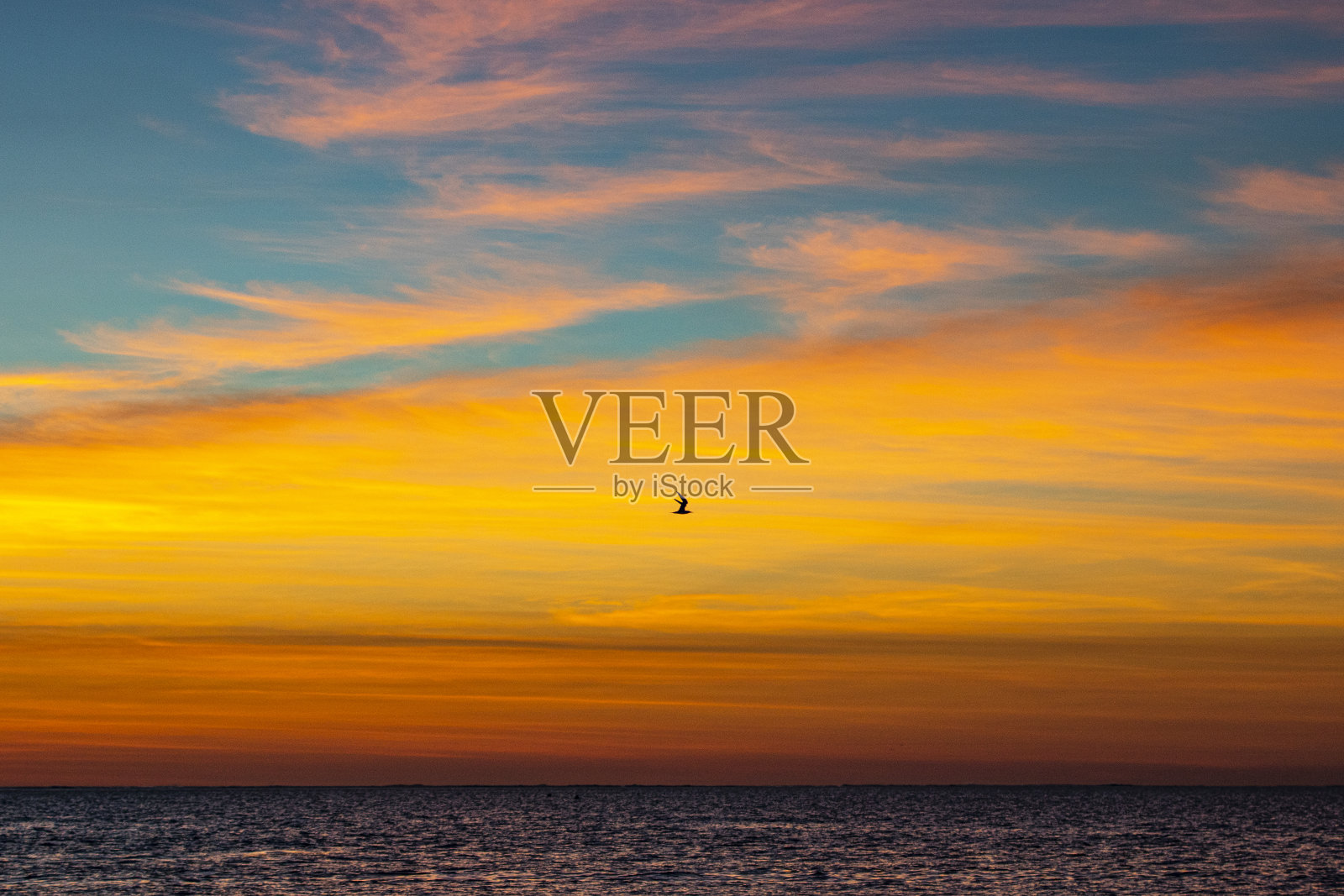 鸟儿飞过五彩斑斓的金色夕阳，越过地平线俯瞰大海照片摄影图片