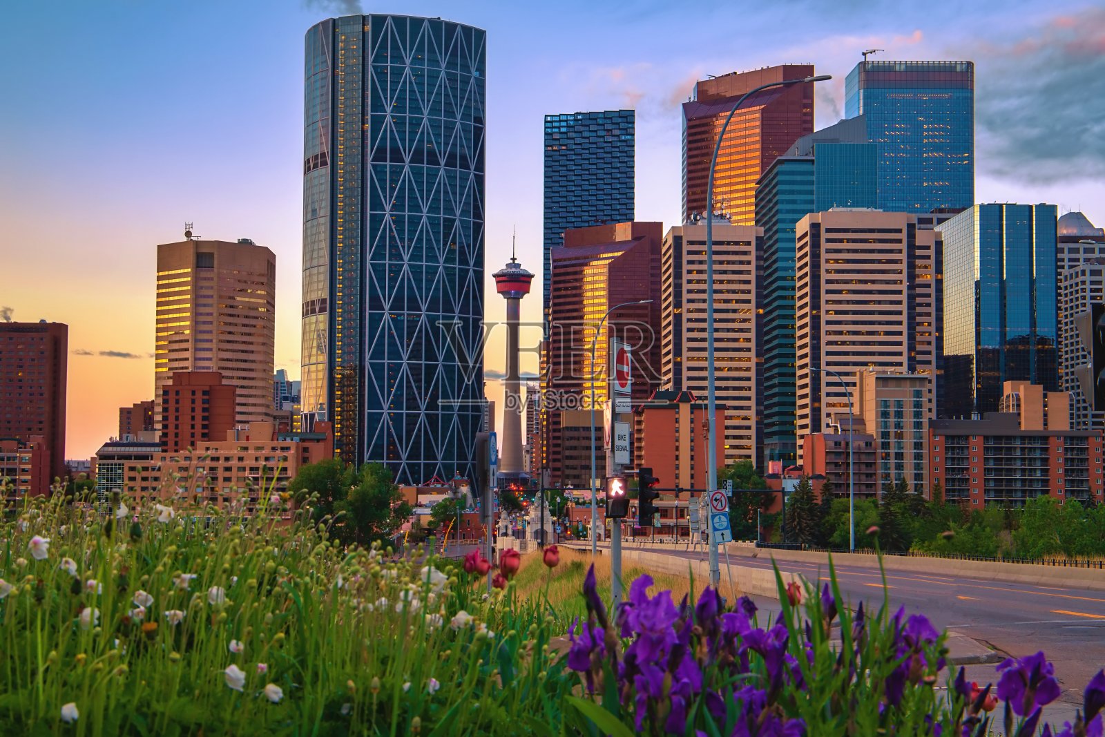 日出时分卡尔加里市中心的夏日鲜花照片摄影图片