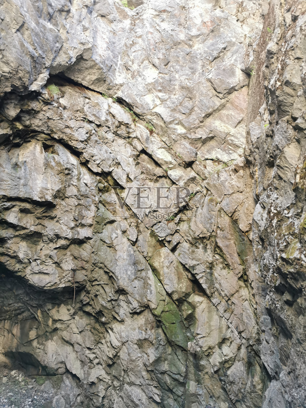 夏天的一天，在拉斯科阿拉山公园，一个垂直竖井的墙壁，以前用于大理石开采。照片摄影图片