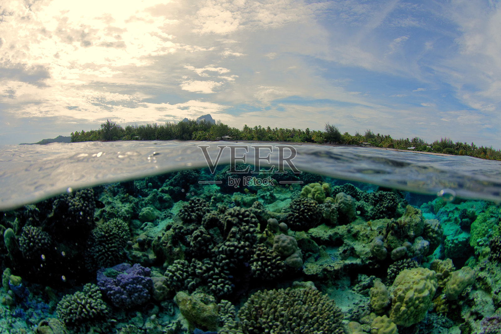 波拉波拉泻湖照片摄影图片