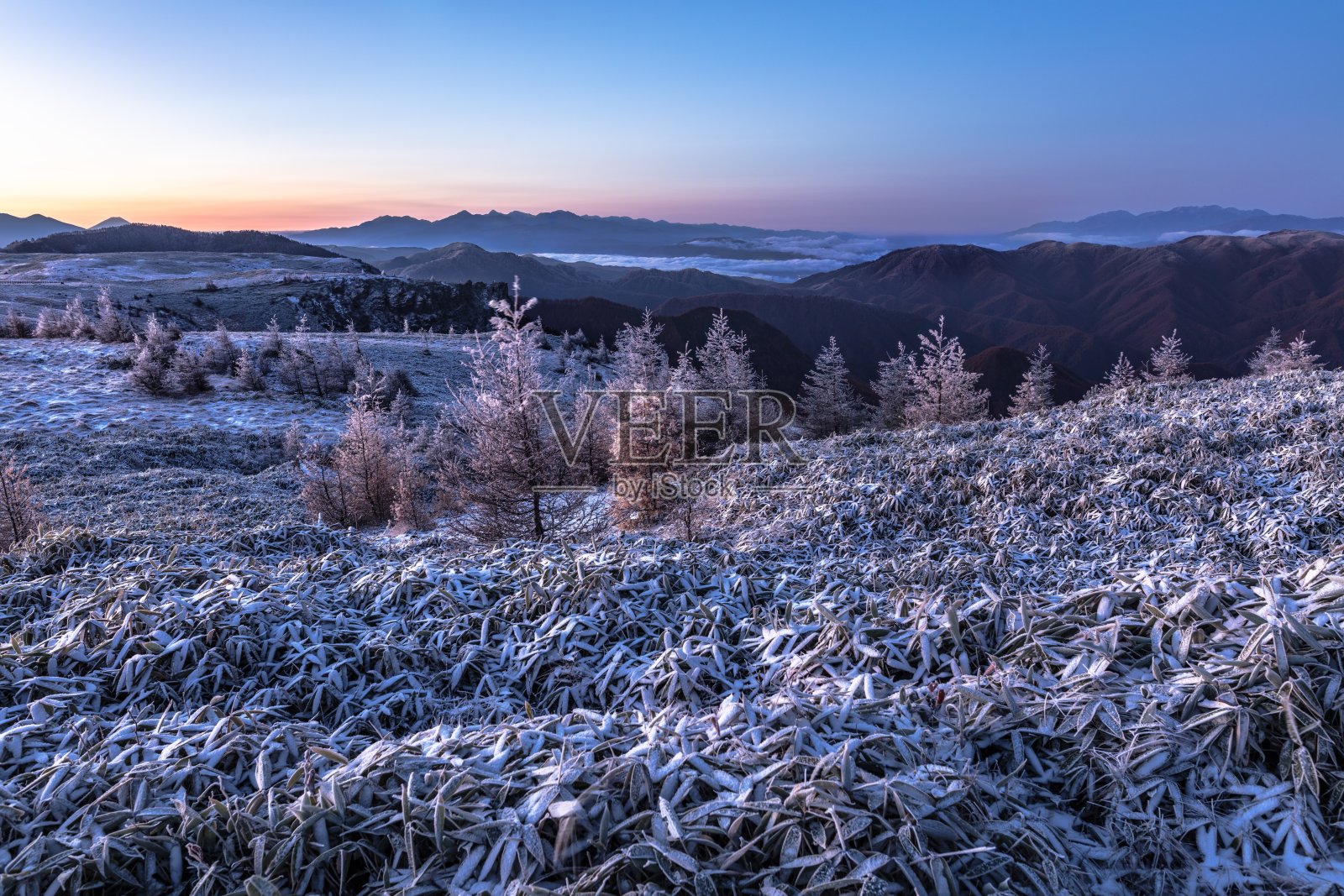 日本长野县宇陆东原高原冬日黎明的景色照片摄影图片