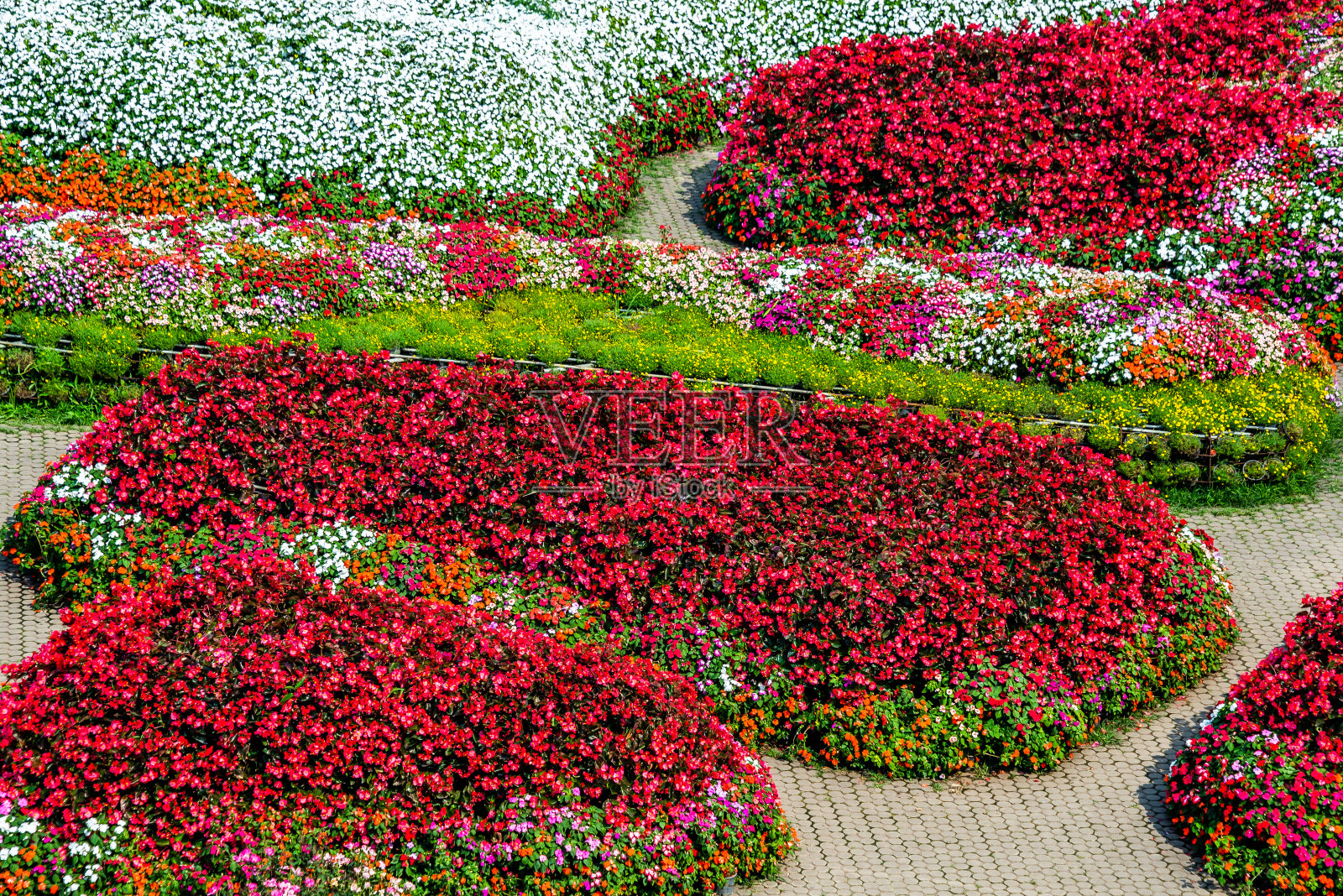 一砖一石的小径中，五彩缤纷盛开着各种各样的鲜花照片摄影图片