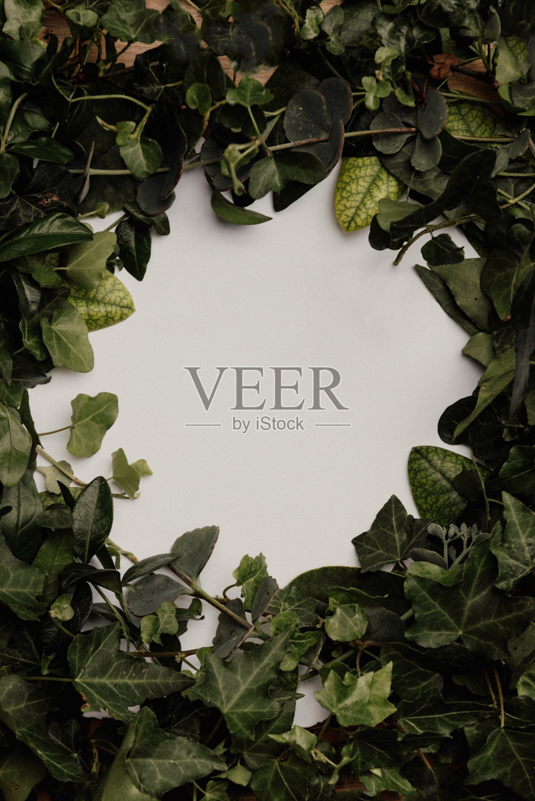 相框由照片或文字的纸张组成的相框照片摄影图片