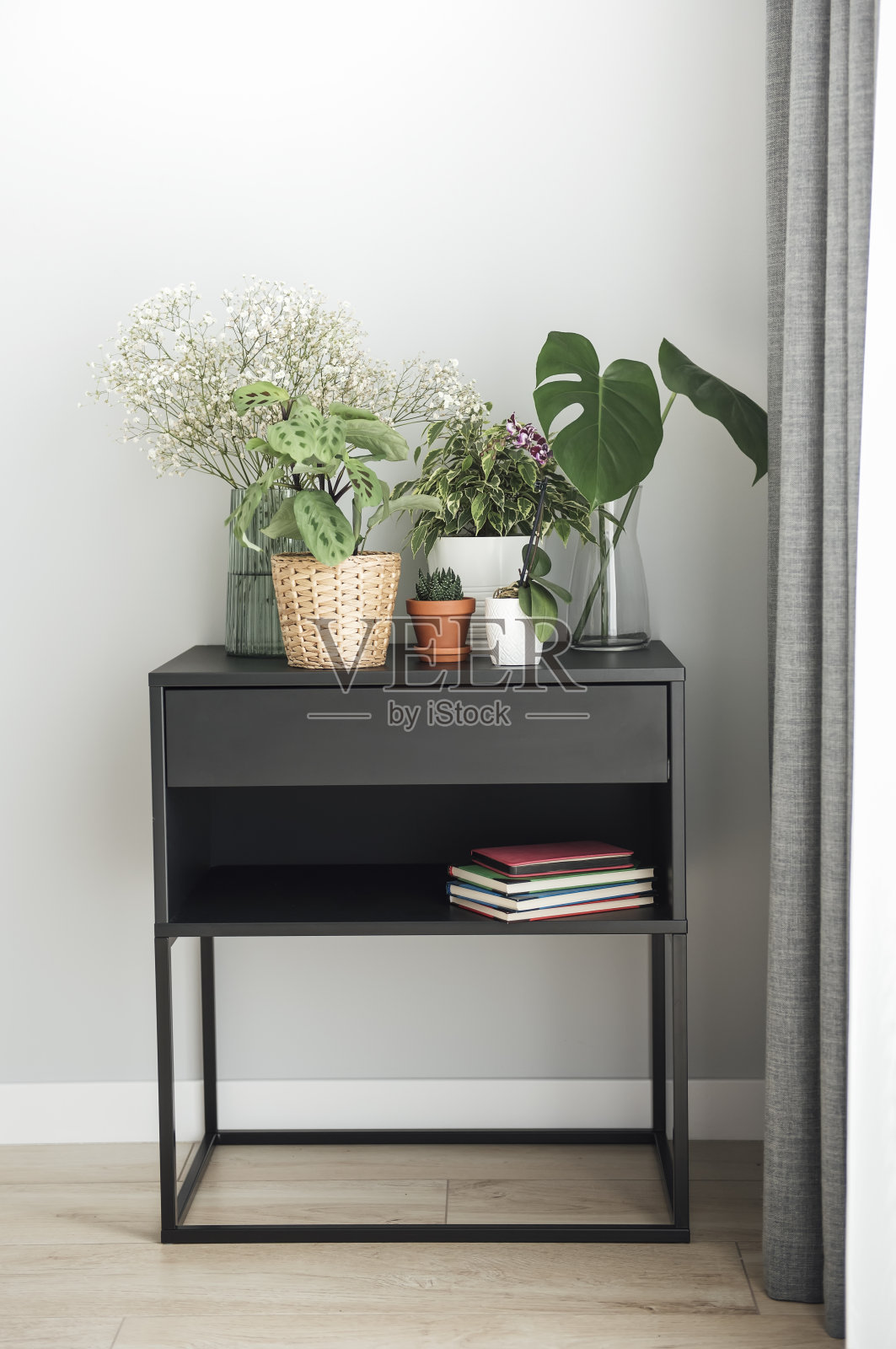 桌子上放着不同的室内植物照片摄影图片