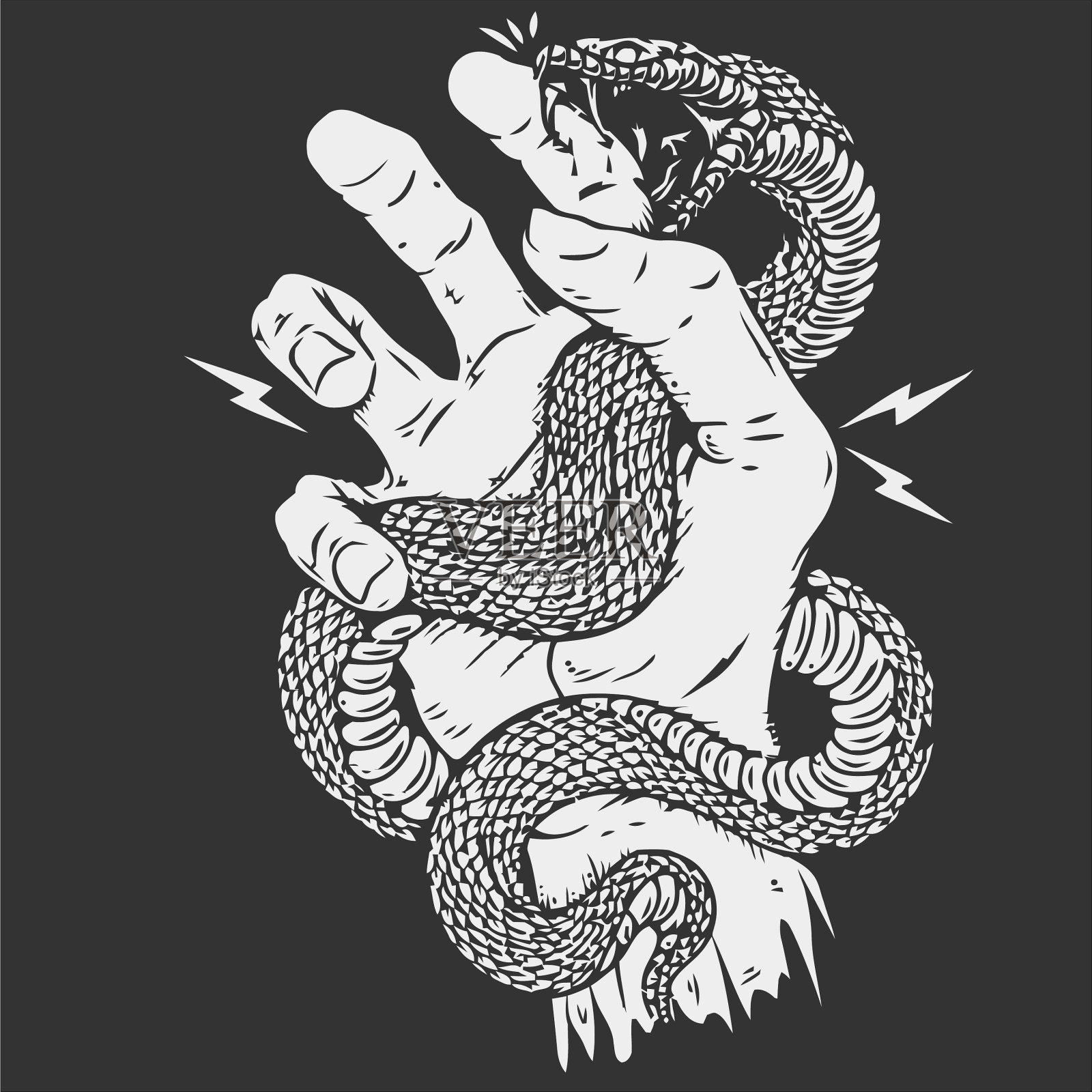 黑白相间的蛇盘绕在一起插画图片素材