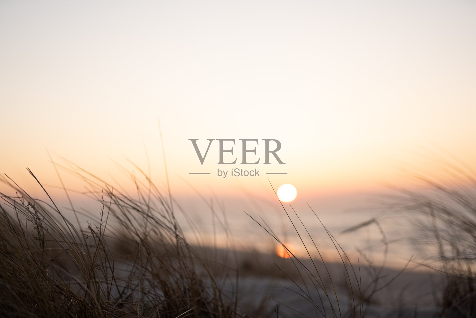 芦苇背后的日落。秋天的海景照片摄影图片