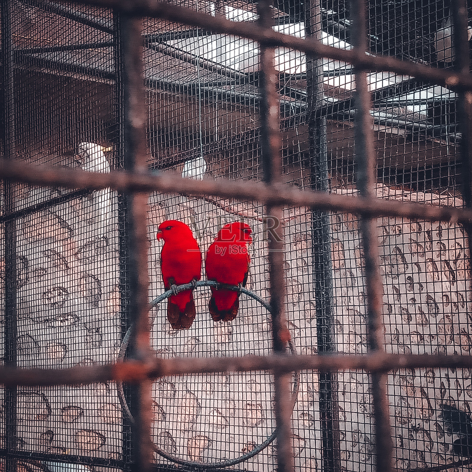 情侣吵架照片摄影图片