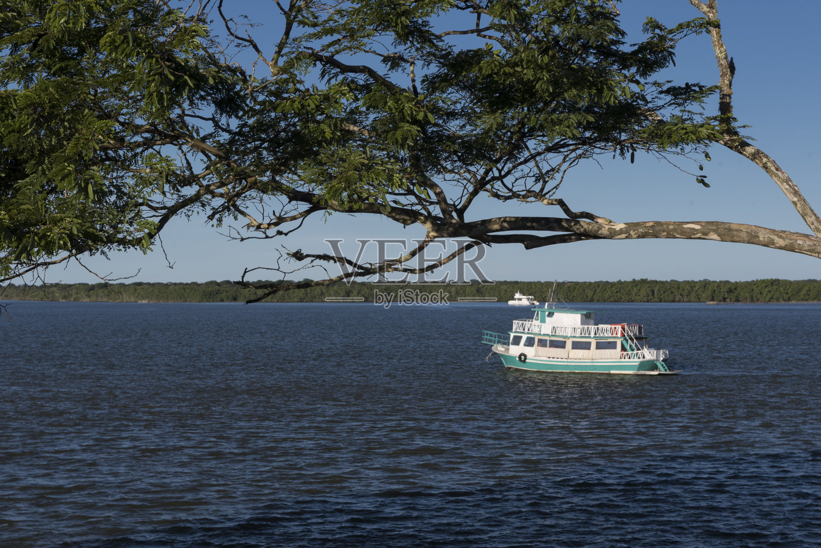 在巴西Cananeia抛锚的船照片摄影图片