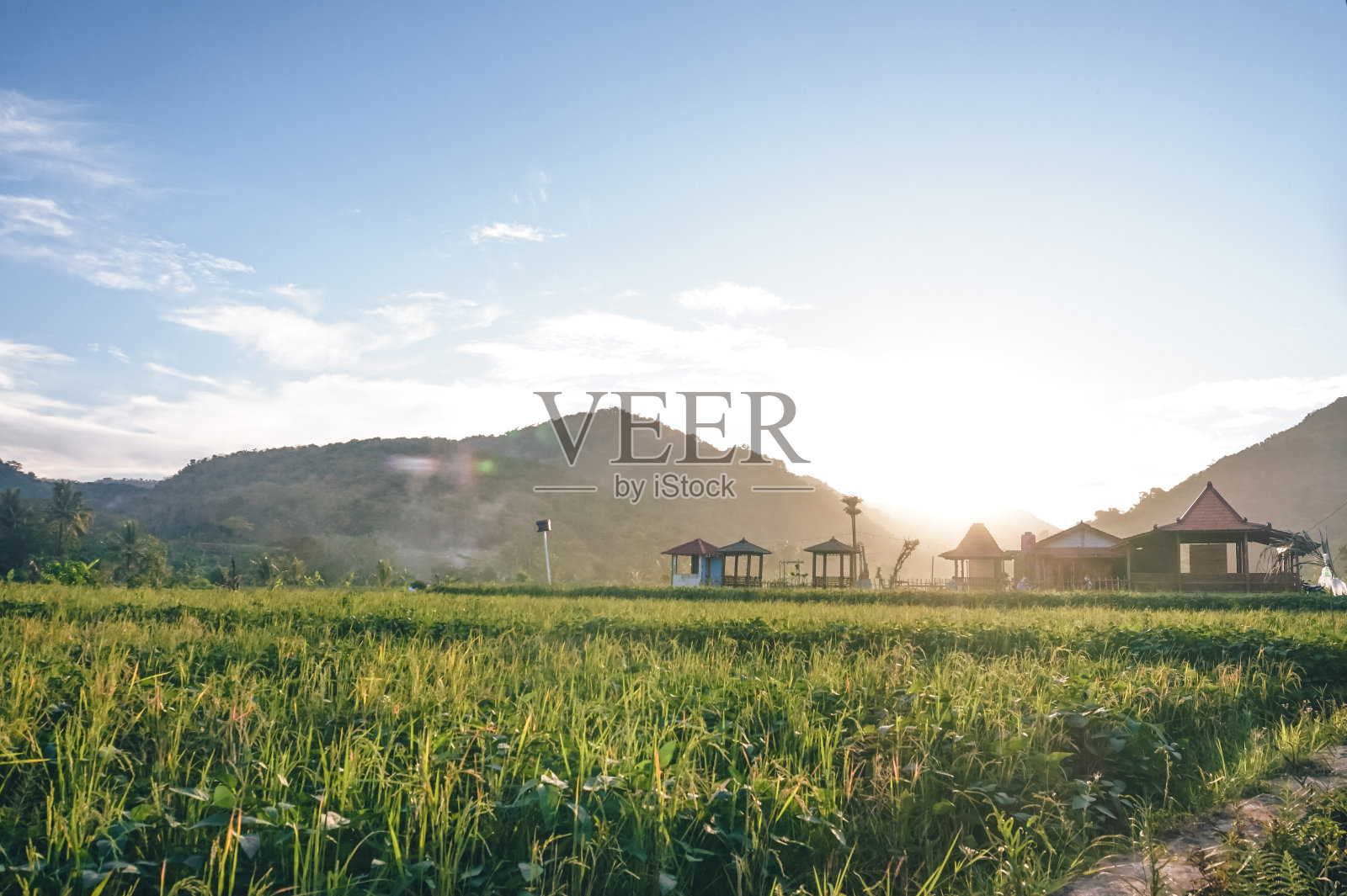 日落时分，稻田中间的户外餐厅照片摄影图片