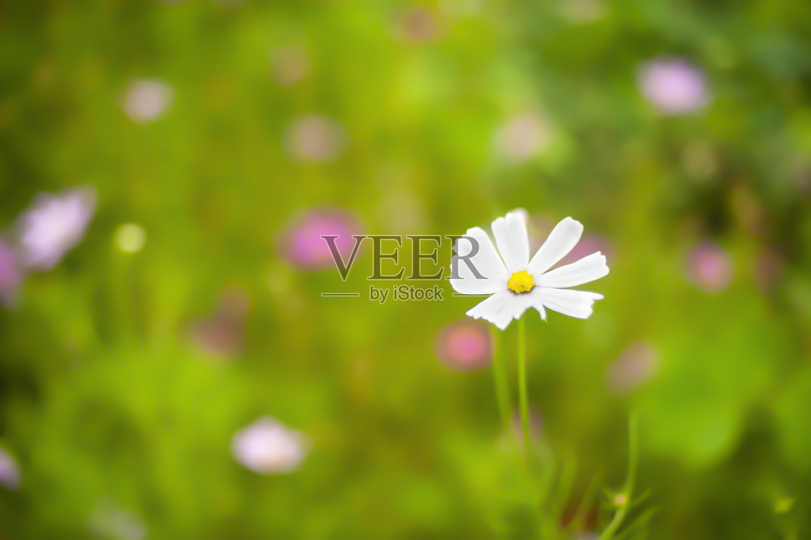 一系列宇宙照片摄影图片