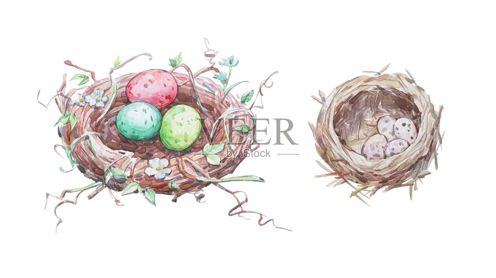 色彩缤纷的蛋在装饰的巢插画图片素材