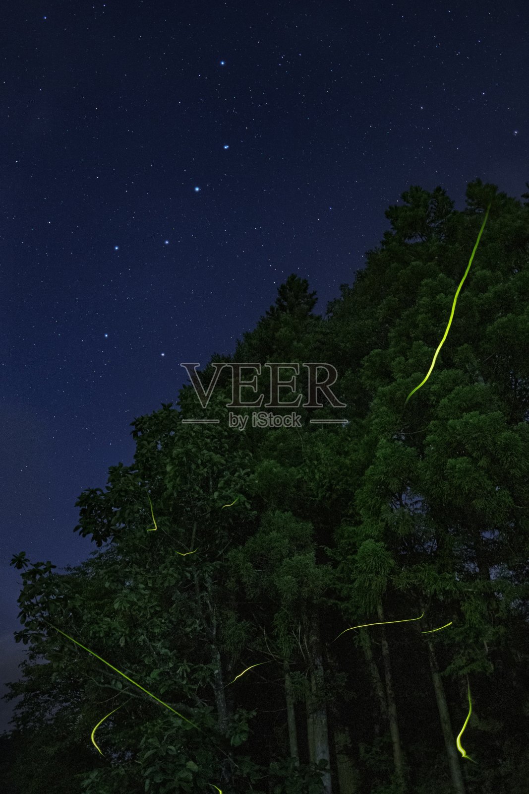 萤火虫和星空在长野县安南镇，日本照片摄影图片