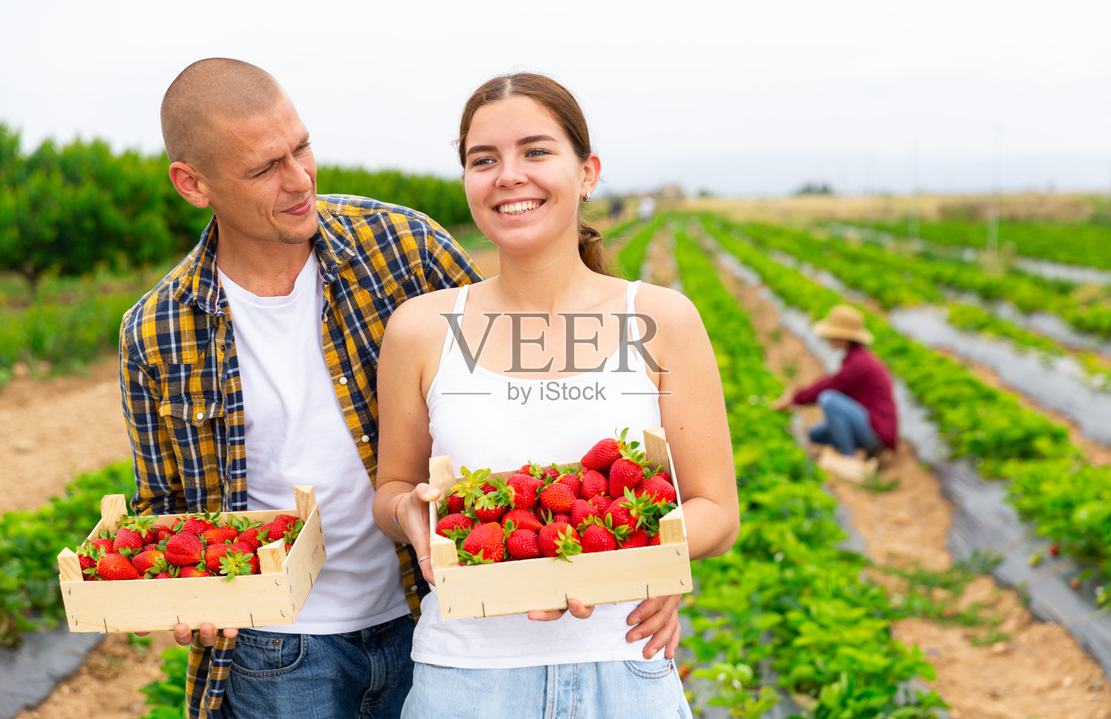 一对快乐的农民夫妇带着收获的草莓在农田里散步照片摄影图片