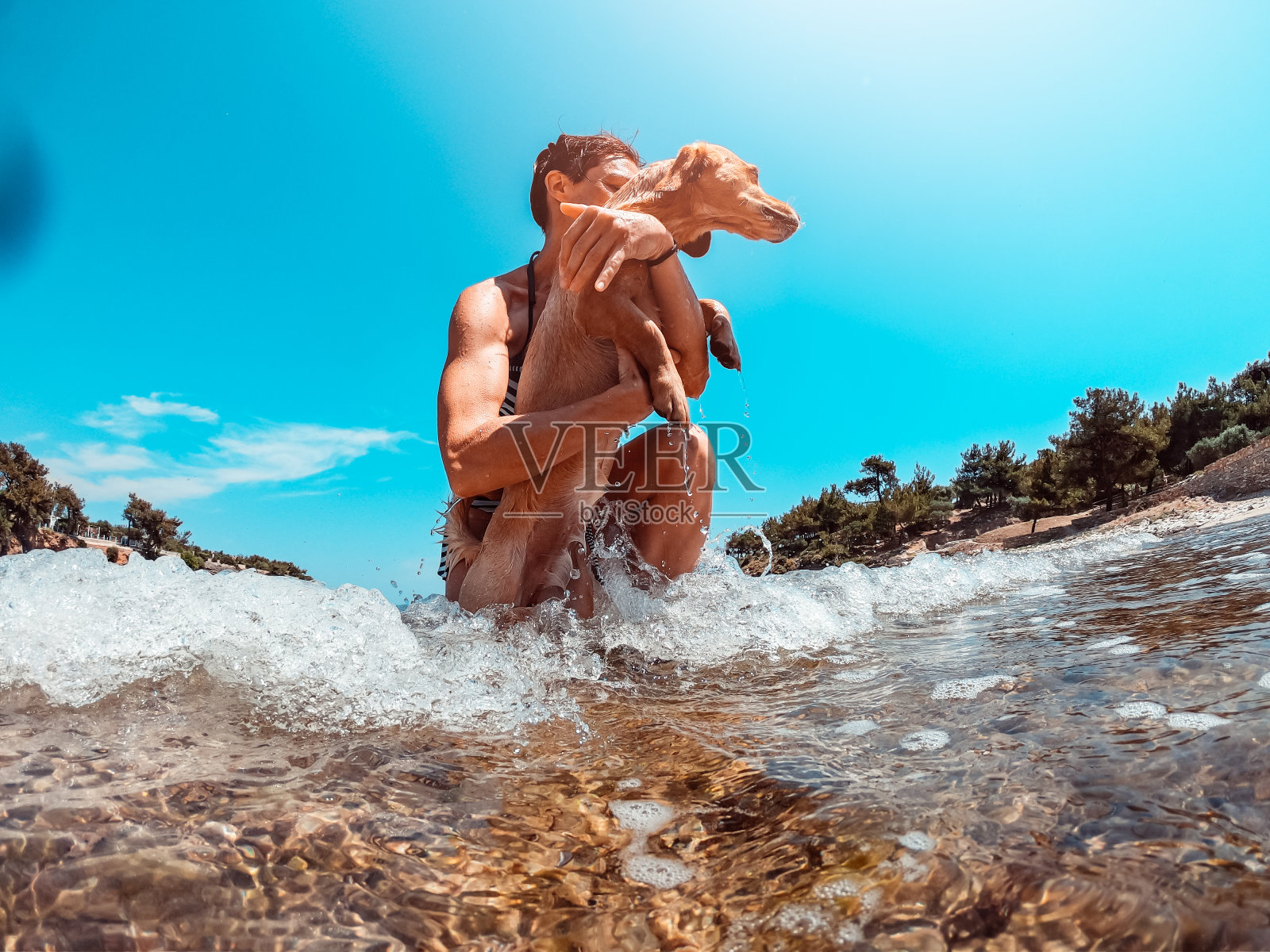 一个女人在给她的狗降温以抵御夏天的炎热照片摄影图片