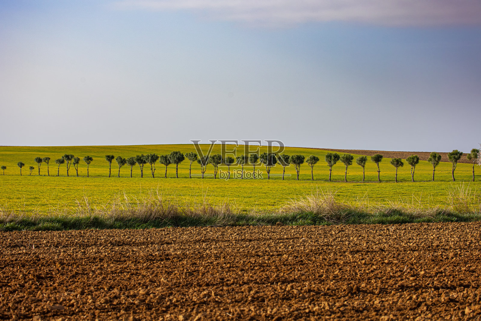领域的卡斯提尔照片摄影图片