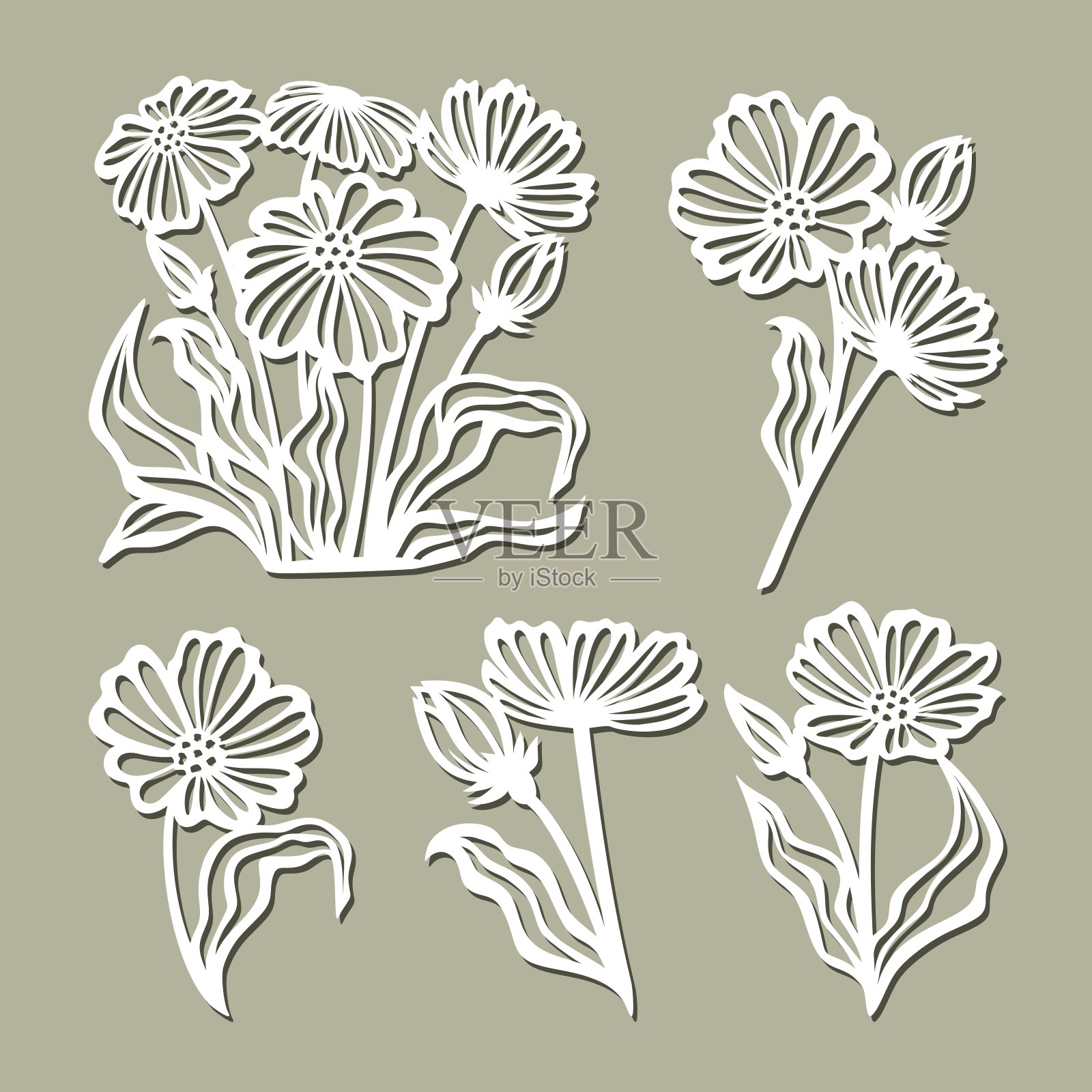 一组花，雏菊，洋甘菊。插画图片素材