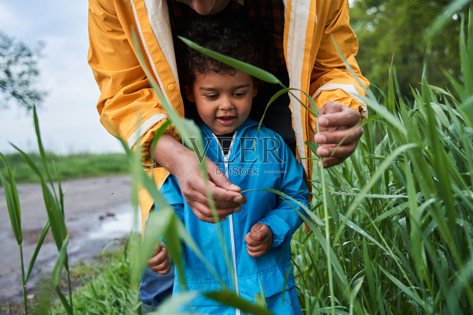 孩子看着绿色的植物，同时与他的父亲在街上照片摄影图片