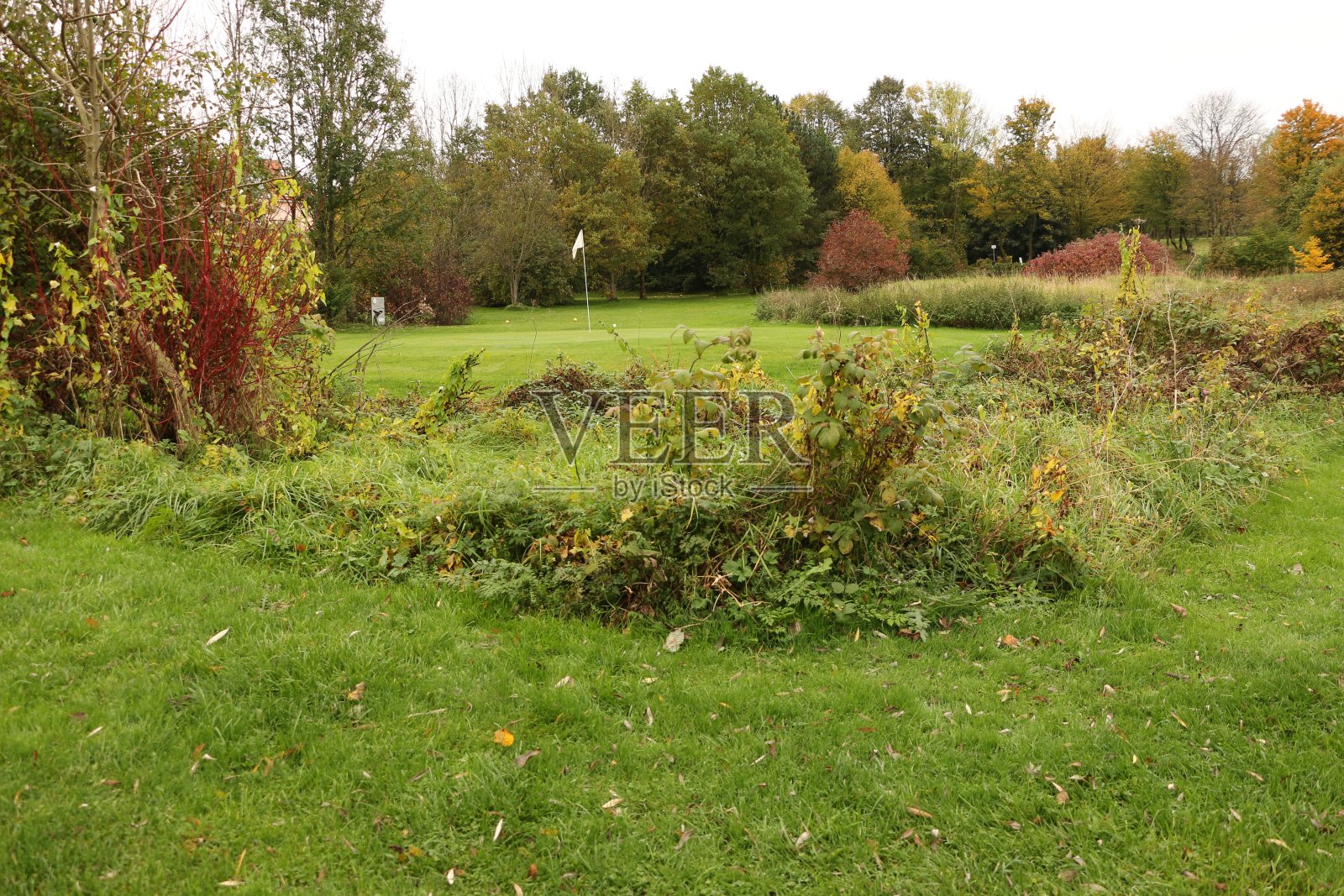 阴天的秋日，在韦斯特瓦尔德的威森瑟照片摄影图片