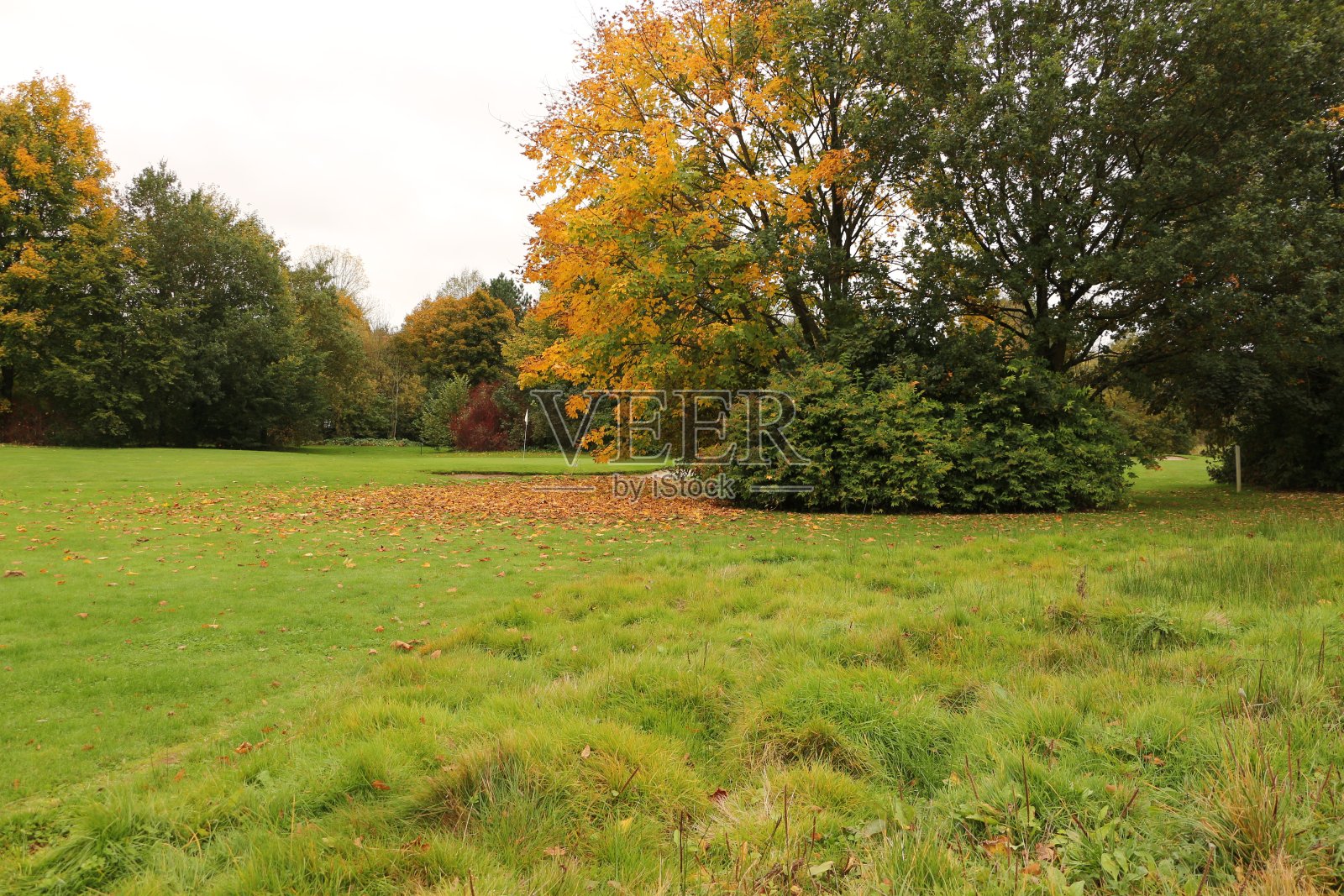 阴天的秋日，在韦斯特瓦尔德的威森瑟照片摄影图片