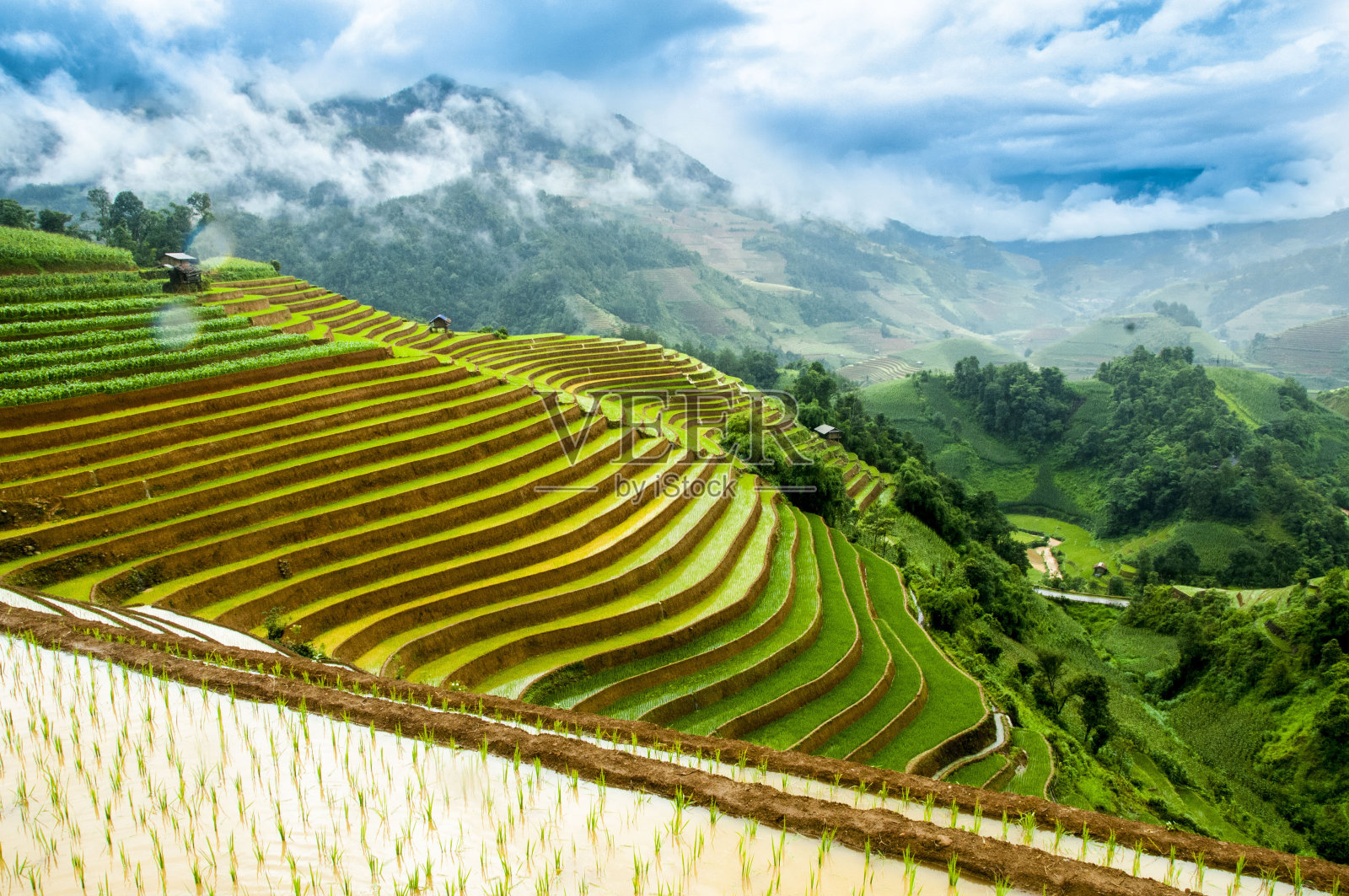 越南北部木仓寨的美丽的梯田照片摄影图片