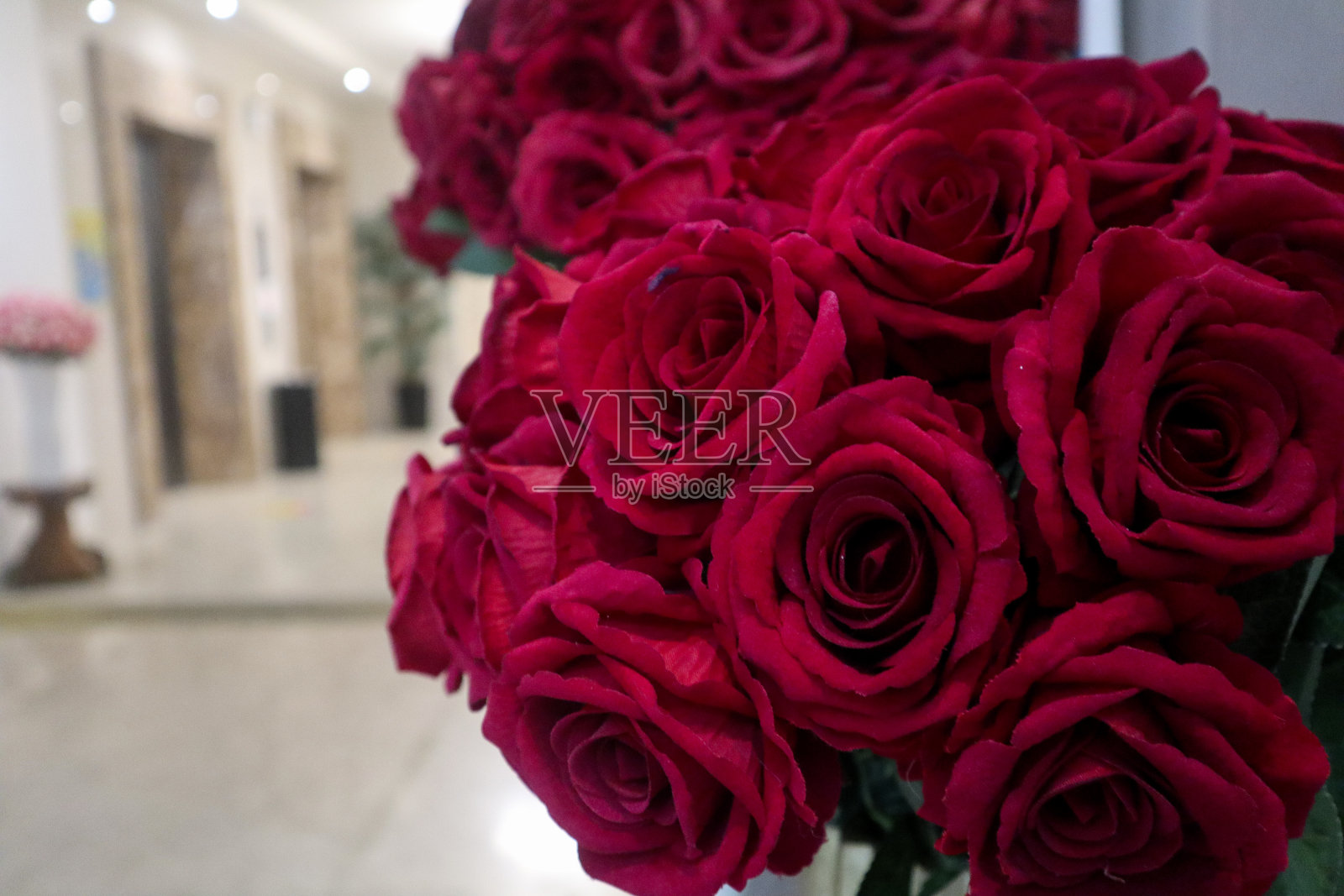 大厅的红玫瑰照片摄影图片
