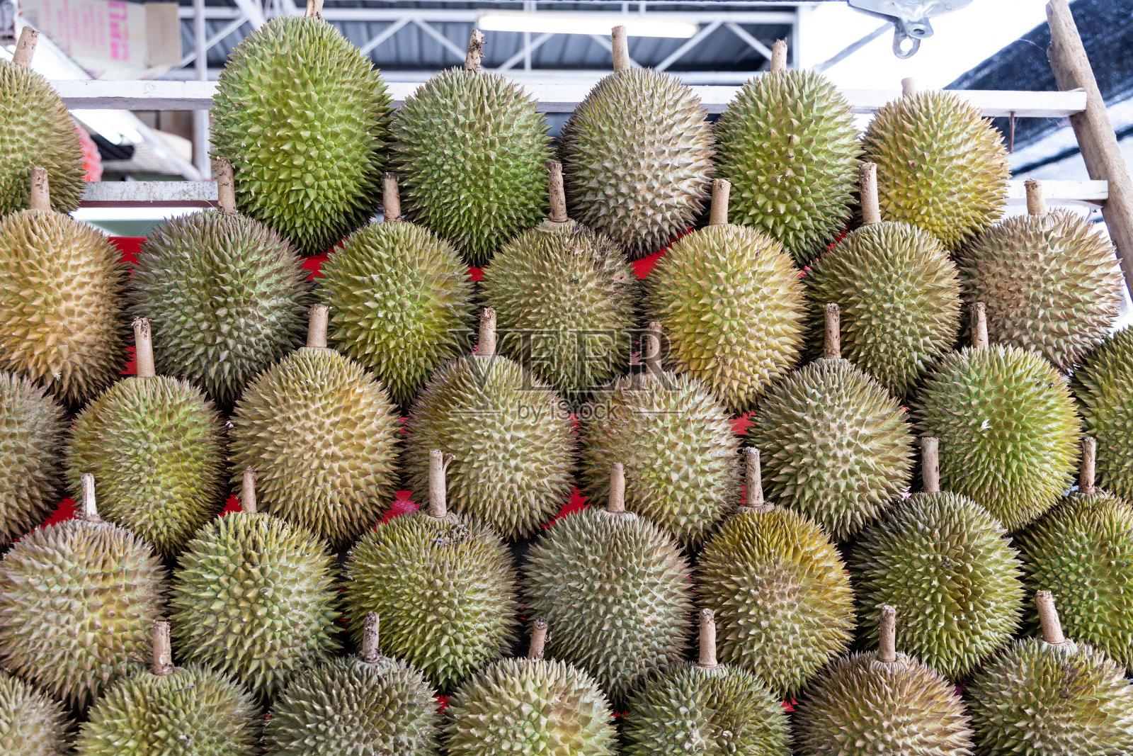 各种马来西亚品质榴莲在市场摊位展出照片摄影图片