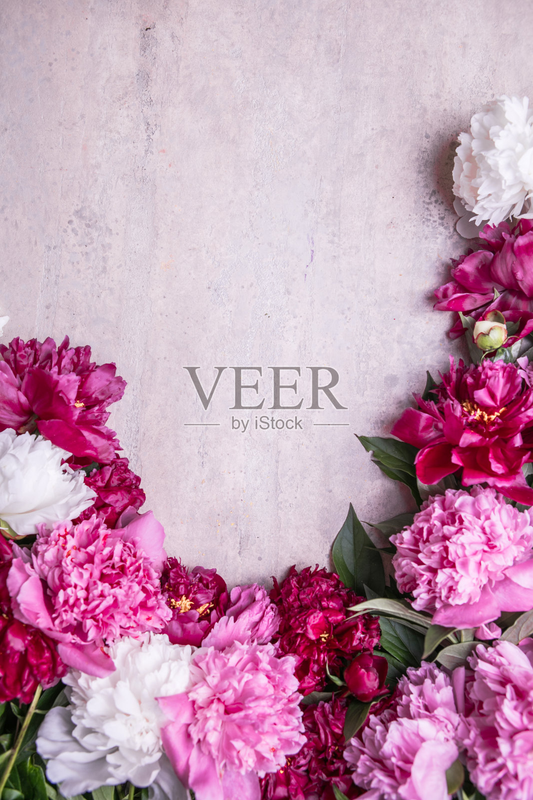 美丽的粉色牡丹花束艺术背景。盛开的粉彩鲜花卡片设计。婚礼背景，情人节的概念。本空间照片摄影图片