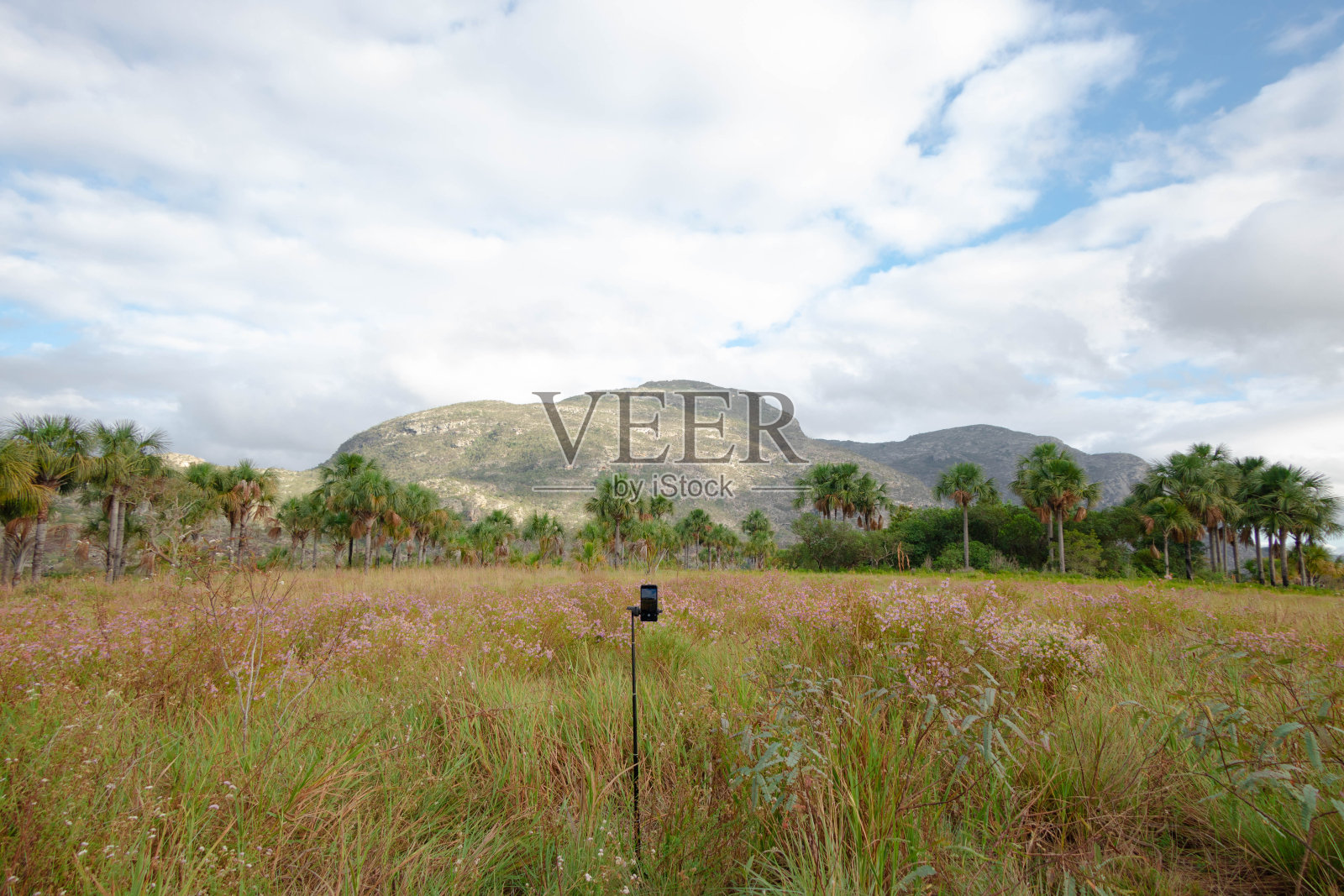 巴西米纳斯吉拉斯州博图姆瑞姆的Folha Larga社区的山照片摄影图片